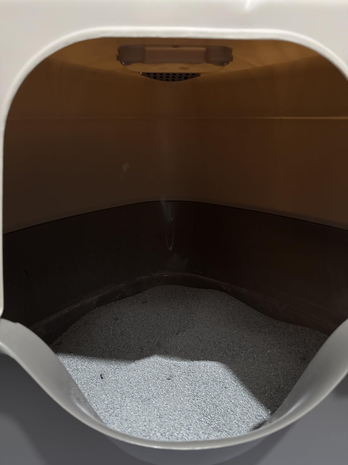 Amazon Basics Cat Litter Box with Lid, No-Mess, Spacious Enclosed Design with Odor Control, Easy Access, Stain Resistant, 26