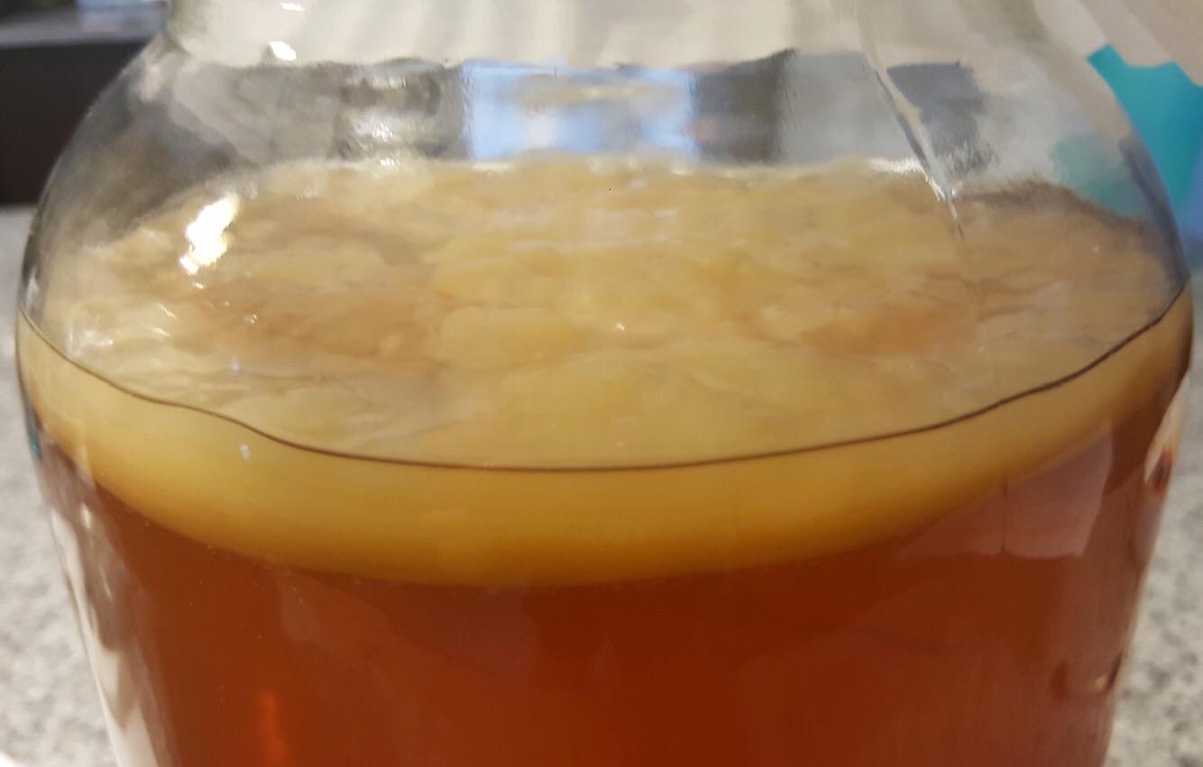 Kombucha Starter Kit with Everything to Brew Kombucha at Home. Kombucha Brewing Kit with SCOBY, Starter Tea, Organic Sugar, pH Strips, Thermometer Strip, Instructions, & More customer photo 1