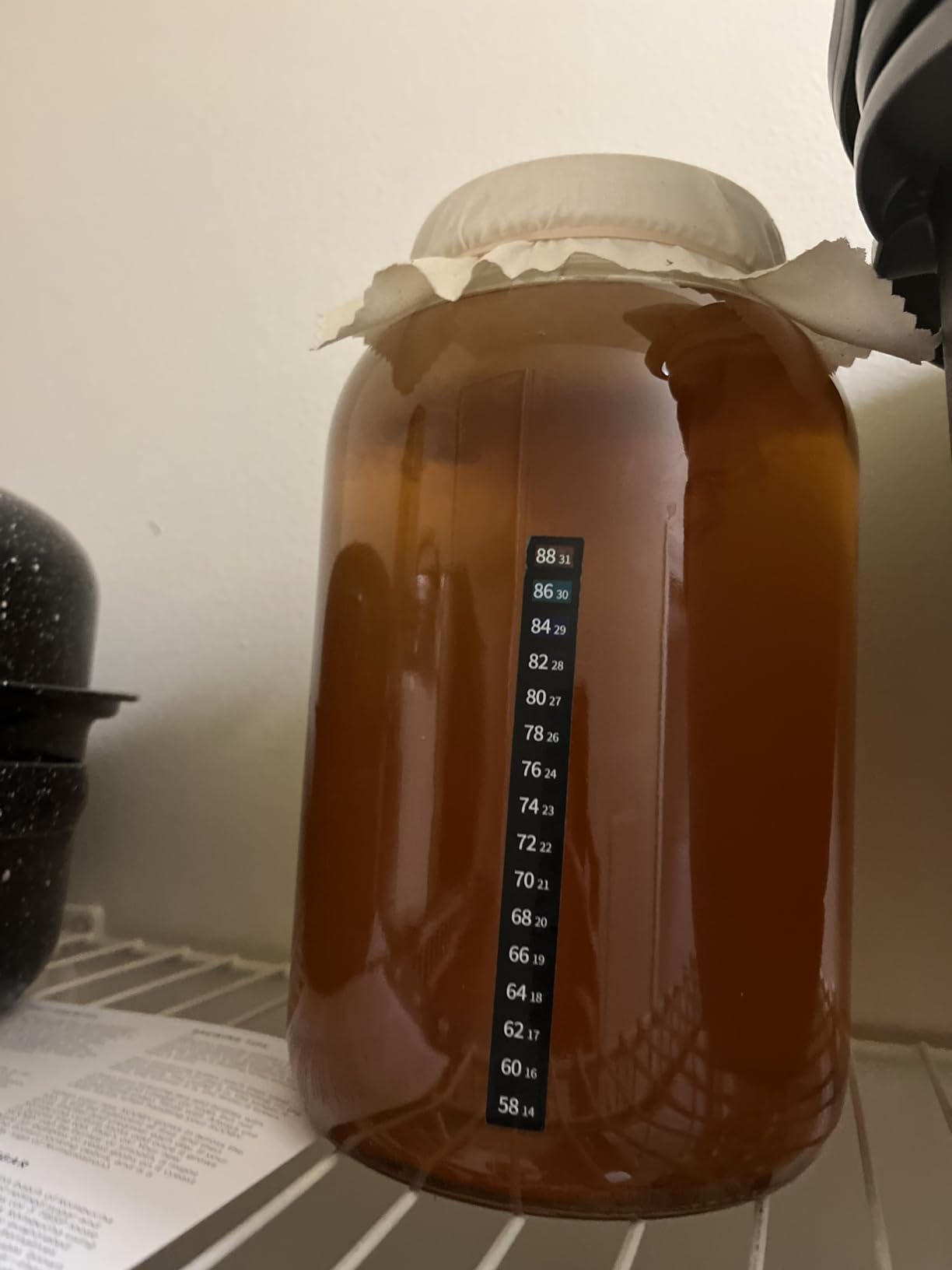 Starter Kit - Includes Organic SCOBY, Starter Liquid, 1 Gallon Glass Jar, Temp Gauge, Tea, and Sugar customer photo 1