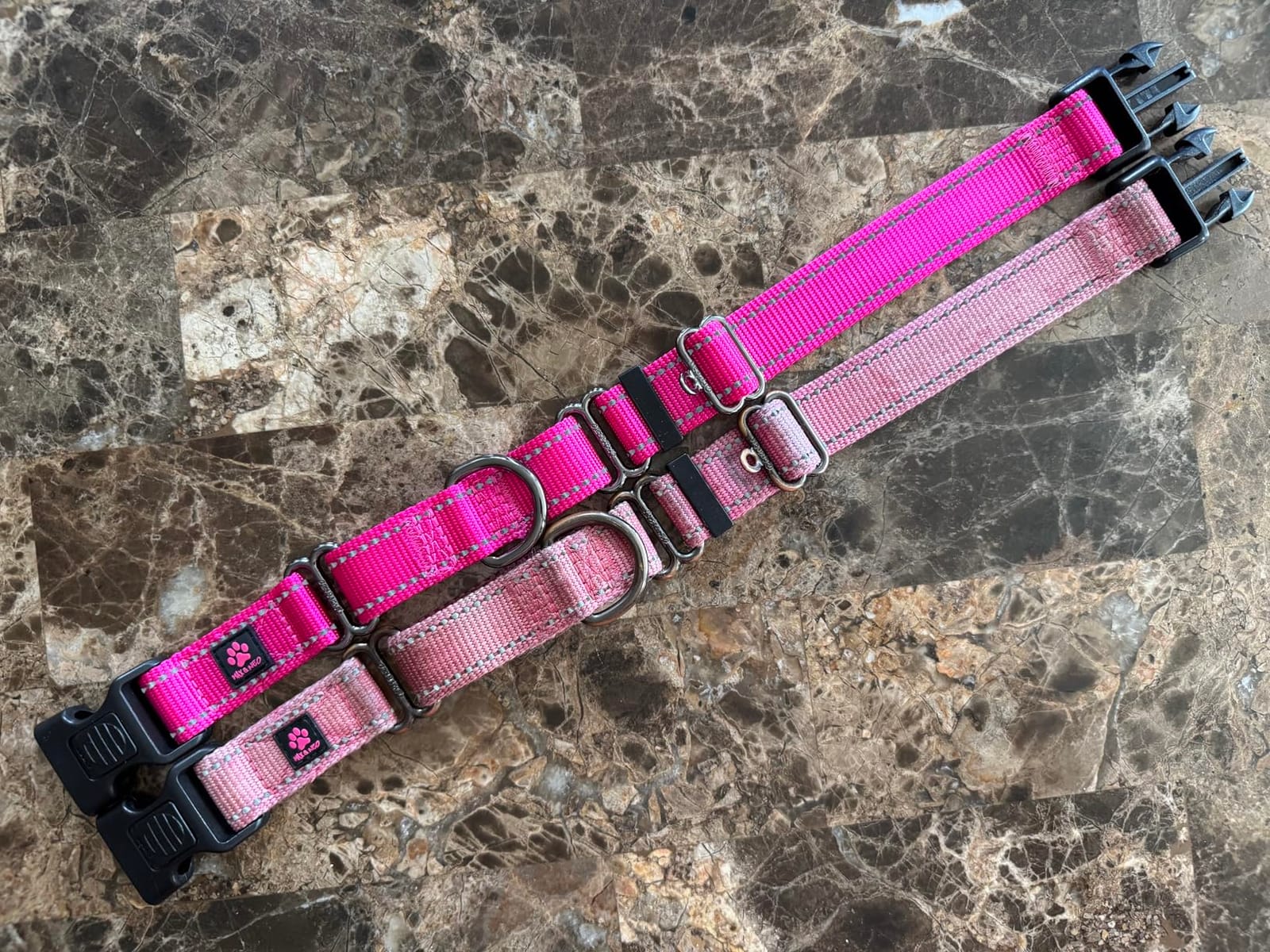 Max and Neo Nylon Martingale Collar - We Donate to a Dog Rescue for Every Collar Sold (Medium, Teal) customer photo 1