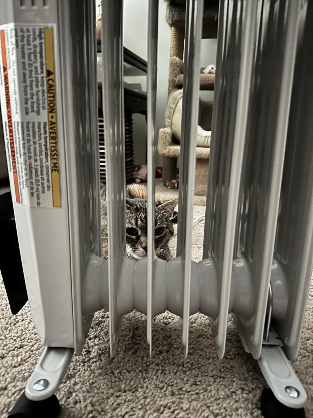 Amazon Basics Portable Oil Radiator Heater, Indoor Use, 3 Heat Settings, Over-Heat Protection, ETL-certified Safety, 7 Oil-Filled Steel Fins, 1500W, Tip-Over Protection, White customer photo 2
