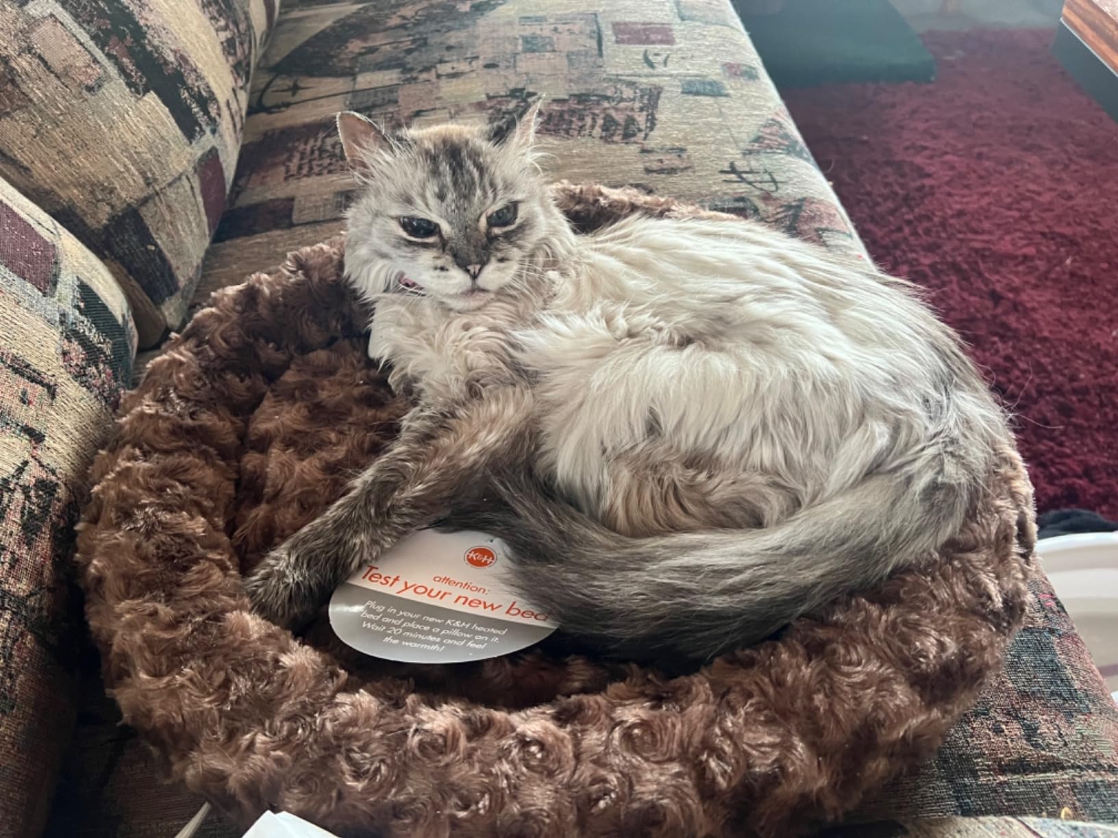 K&H Heated Cat Bed, Thermo-Kitty Fashion Splash Indoor, Safety Listed | Removable Waterproof Cat Heating Pad, Orthopedic Foam Heated Dog Bed for Cats & Dogs, Small 18in Round, 4 Watts, Mocha customer photo 1