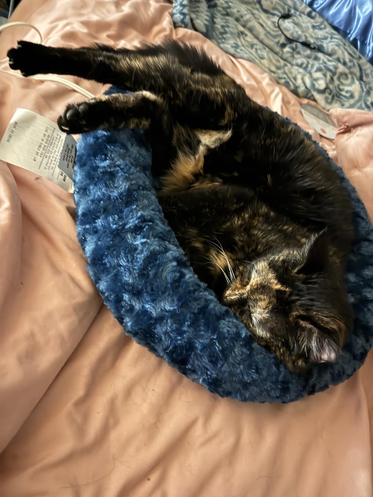 K&H Heated Cat Bed, Thermo-Kitty Fashion Splash Indoor, Safety Listed | Removable Waterproof Cat Heating Pad, Orthopedic Foam Heated Dog Bed for Cats & Dogs, Small 18in Round, 4 Watts, Mocha customer photo 2