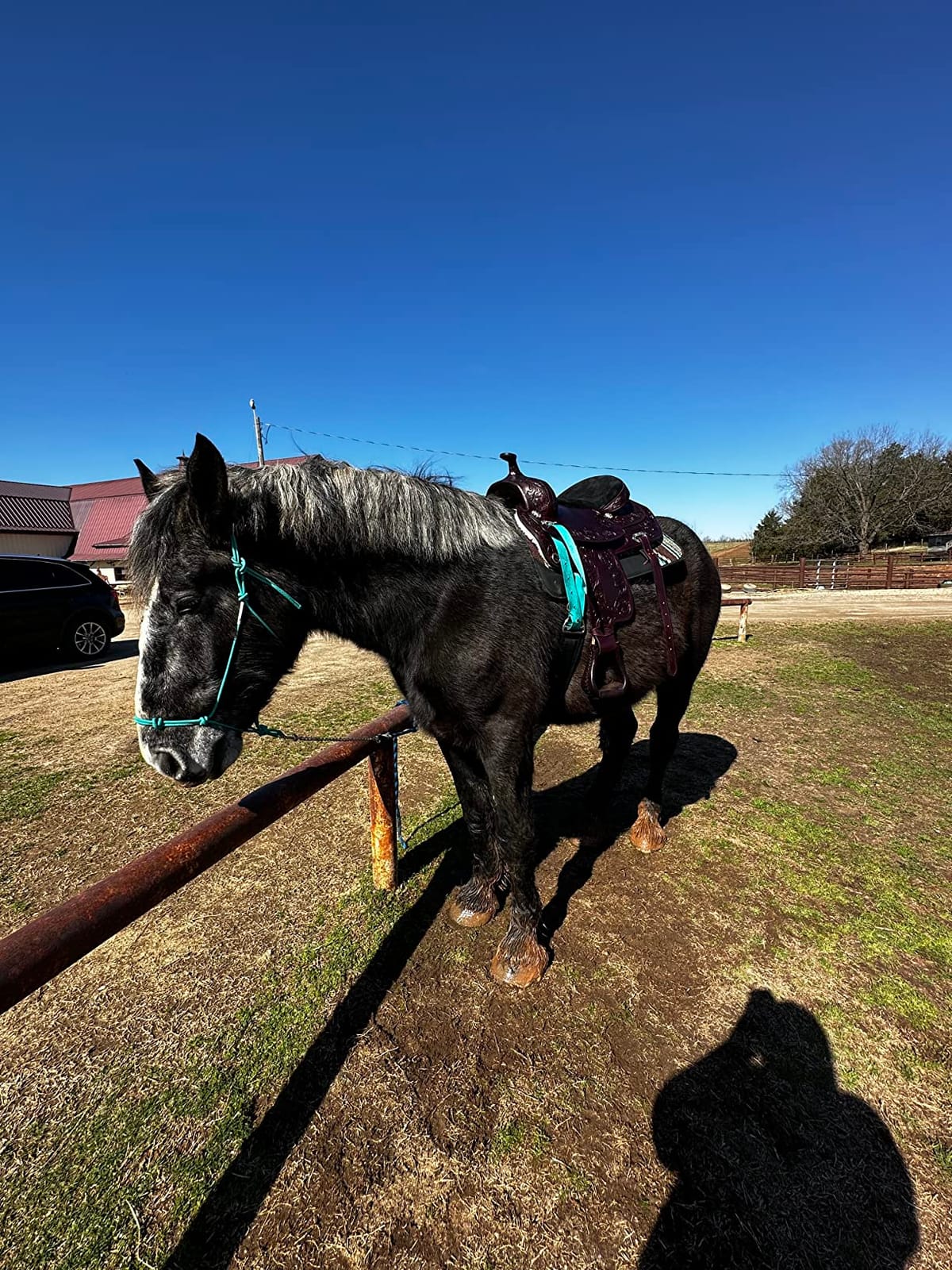 HILASON Western Draft Horse Trail Pleasure American Leather Saddle | for Horses customer photo 1