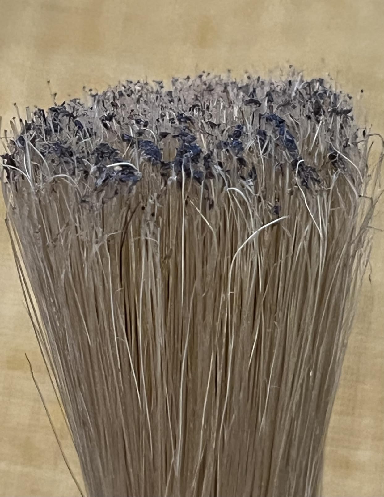 Coffee Grinder Cleaning Brush + Coffee Brush Wood Handle & Natural Bristles Pastry Brush customer photo 2