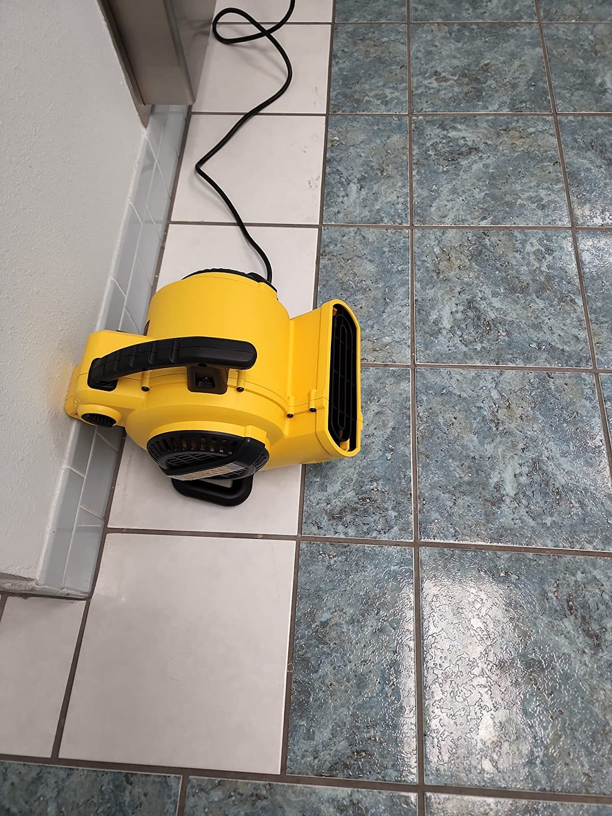 DEWALT Portable Air Mover, 276W 3 Speed Floor Fan, Utility Blower Fan | 1/5 HP 600 CFM Floor Dryer, 11 lbs Carpet Dryer, Floor Fan, for Janitorial, Home, Commercial Use, DXAM-2260 customer photo 2