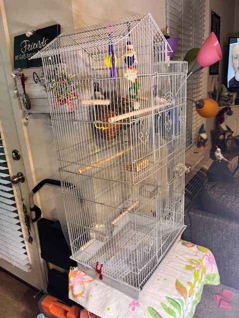 Yaheetech 39-inch Roof Top Large Flight Parrot Bird Cage for Small Quaker Parrot Cockatiel Sun Parakeet Green Cheek Conure Budgie Finch Lovebird Canary Pet Bird Cage w/Toys customer photo 1