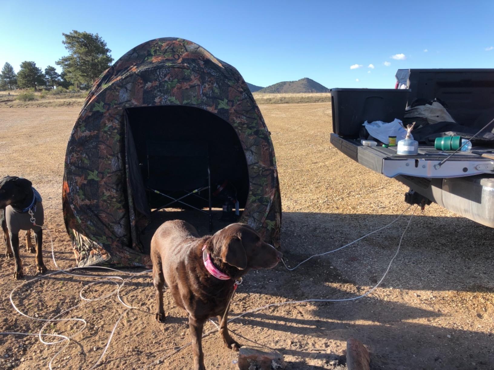 GYMAX Hunting Blind, 3 Persons Pop Up Ground Blind with Hub System, Carry Bag for Deer & Turkey, Camo Hunting Tent with 360 Degree View See Through Portable Durable Deer Blind customer photo 1