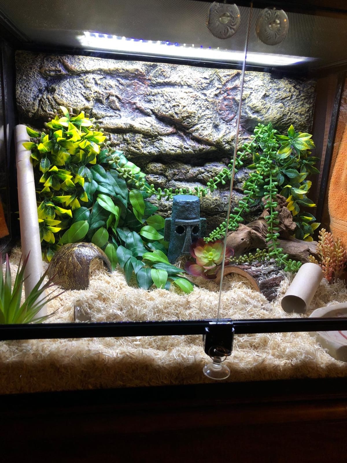 REPTI ZOO 34 Gallon Large Reptile Glass Terrarium Tank with Foam Backgrounds, Double Hinge Door with Screen Ventilation Reptile Terrarium 24
