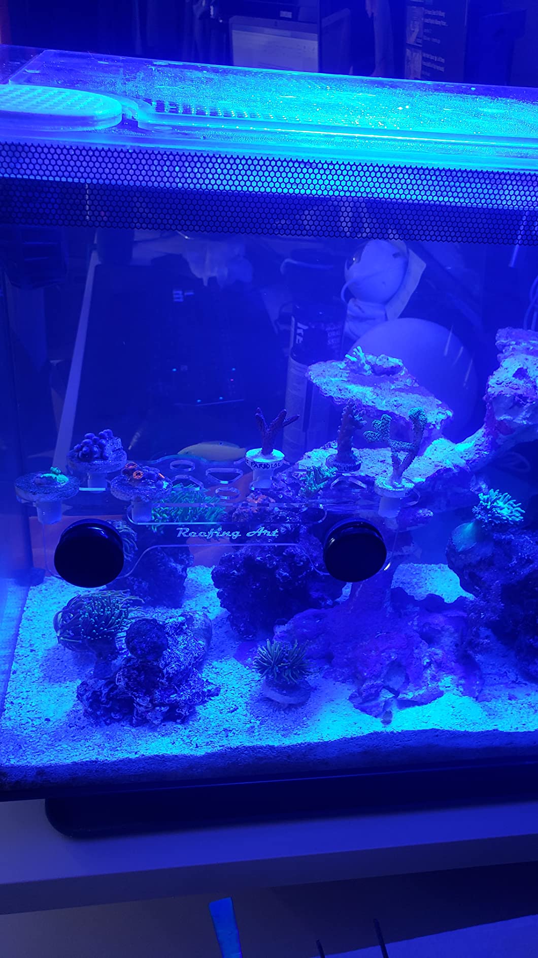 Magnetic Coral Frag Rack Strongest N52 Magnets Holds up to 41 Plugs (Medium Slim) customer photo 2