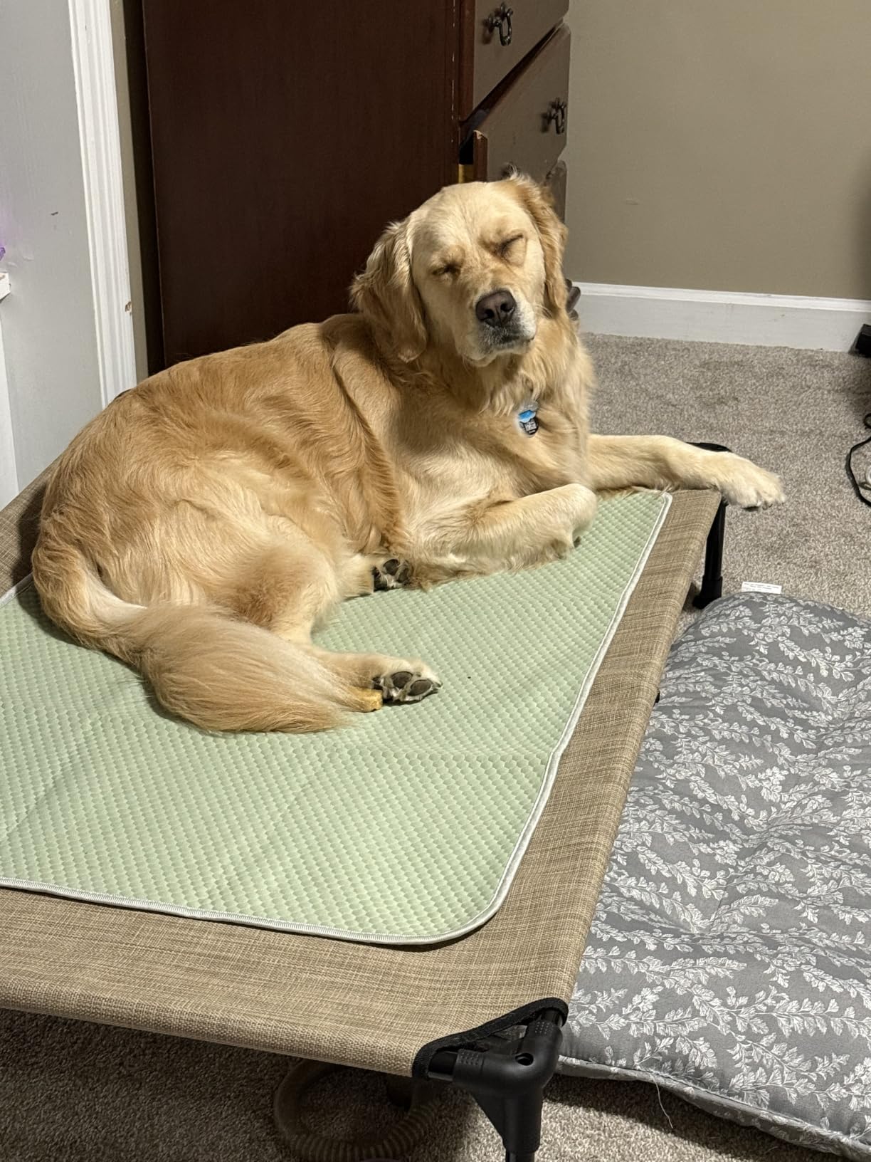 Veehoo Outdoor Elevated Dog Bed Large Sized Dogs, Cooling Raised Dog Cots customer photo 1