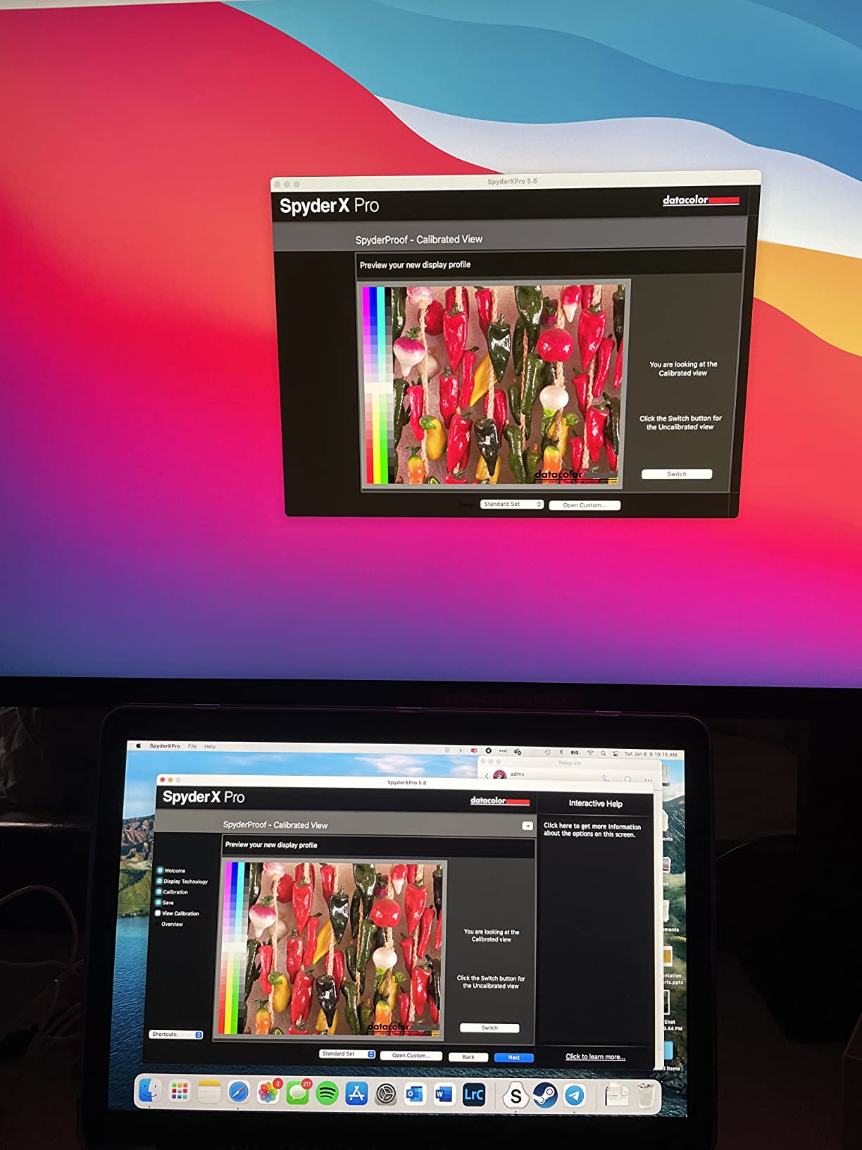 Datacolor Spyder X Pro - Monitor Calibrator Color Calibration Tool for Monitor Display customer photo 2