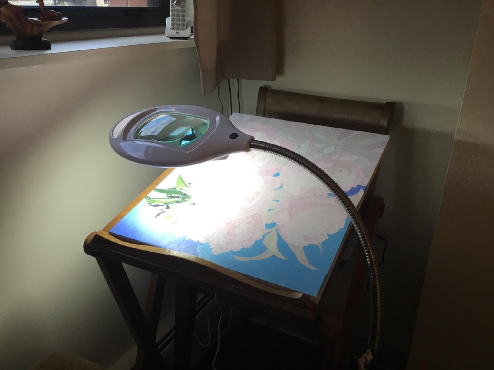 Brightech LightView Pro Magnifying Floor Lamp - Hands Free Magnifier with Bright LED Light for Reading - Work Light with Flexible Gooseneck - Standing Mag Lamp customer photo 2