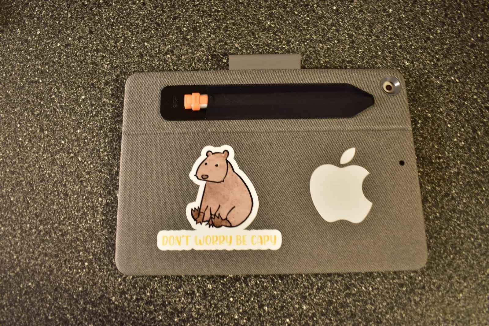 ESR Pencil Case Holder Compatible with The Pencil (Pro and 1st and 2nd Gen) customer photo 2