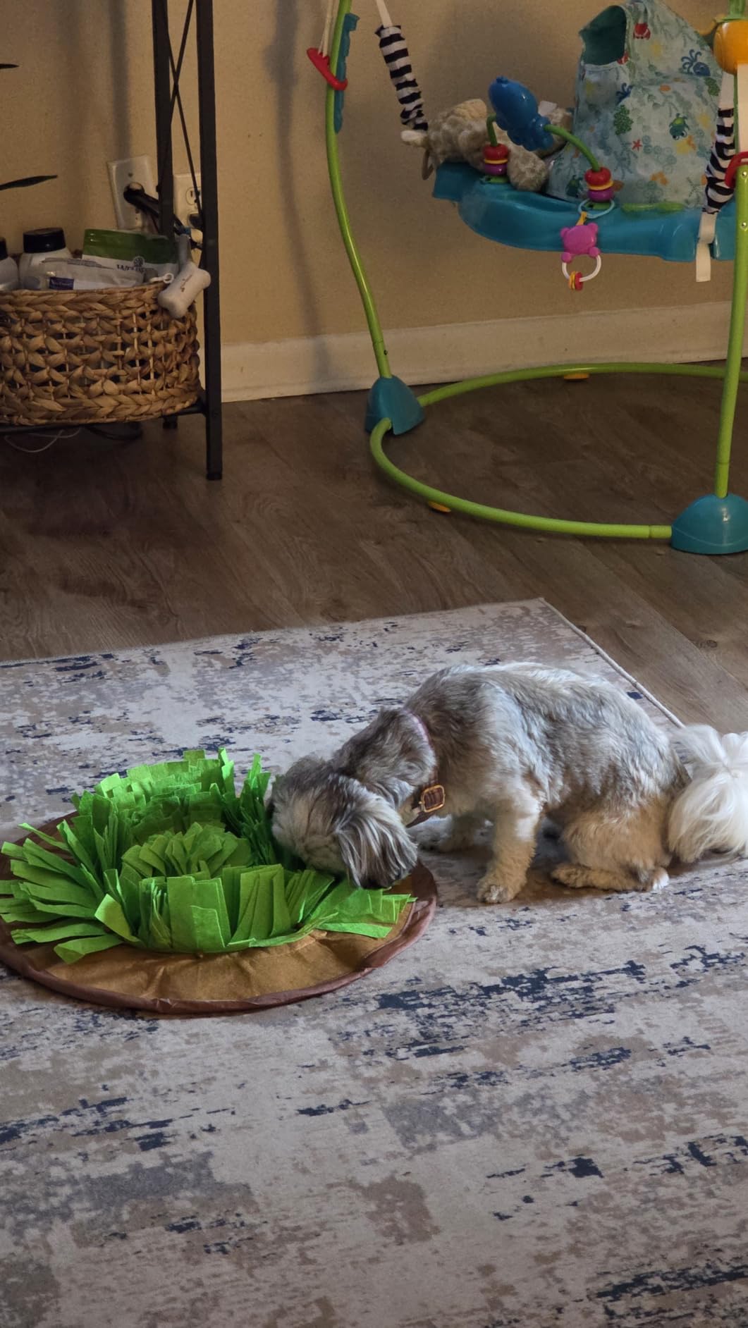 AWOOF Pet Snuffle Mat for Dogs, Interactive Feed Game for Boredom, Encourages Natural Foraging Skills for Cats Dogs Bowl Travel Use, Dog Treat Dispenser Indoor Outdoor Stress Relief customer photo 1