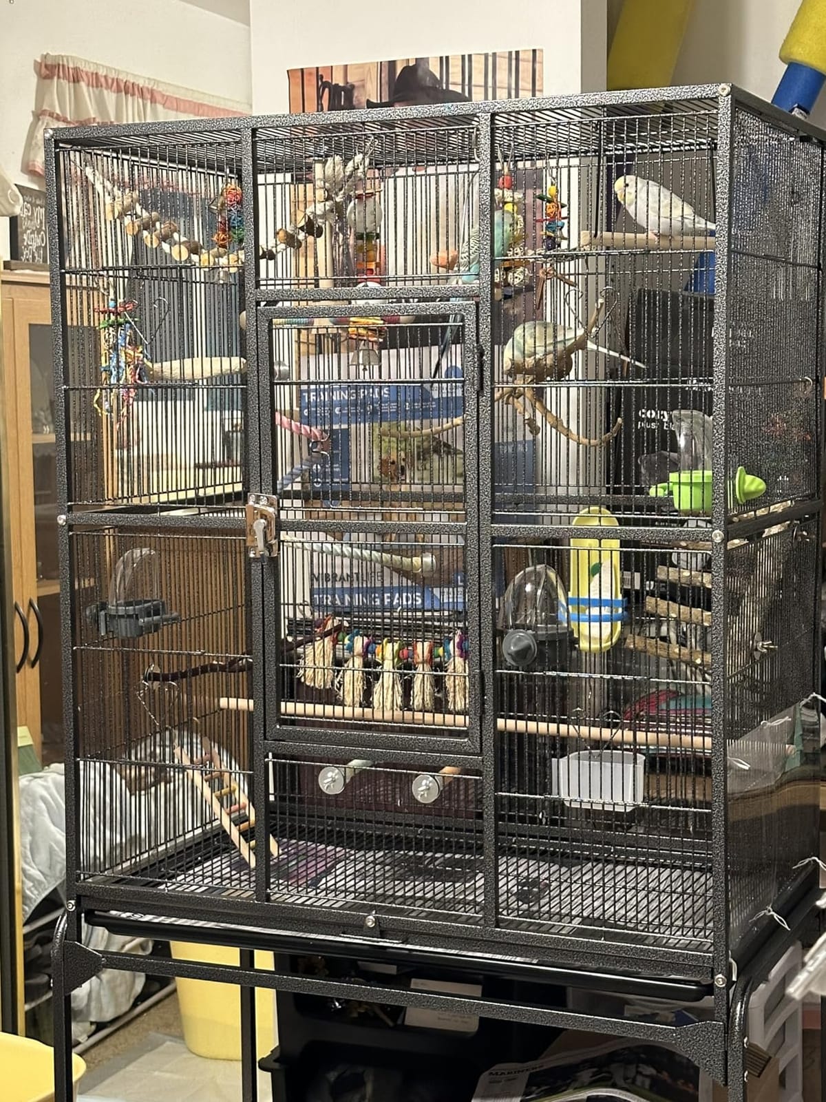 Yaheetech 63-Inch Wrought Iron Rolling Large Bird Cage for African Grey Small Quaker Amazon Parrots Canary Bird Flight Cage customer photo 2