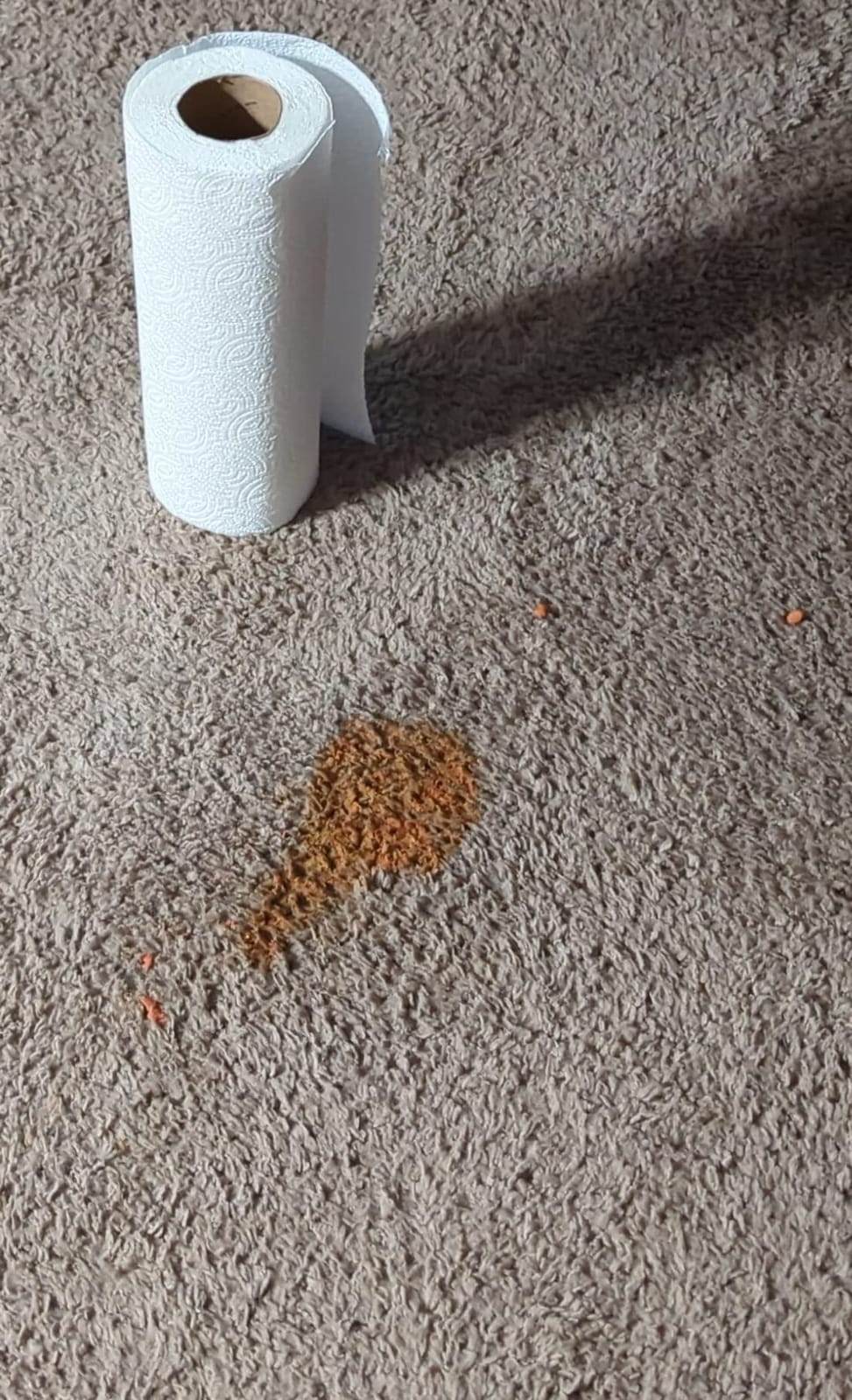 Bissell ProHeat 2X Revolution Pet Full Size Upright Carpet Cleaner, 1548F, Orange customer photo 2