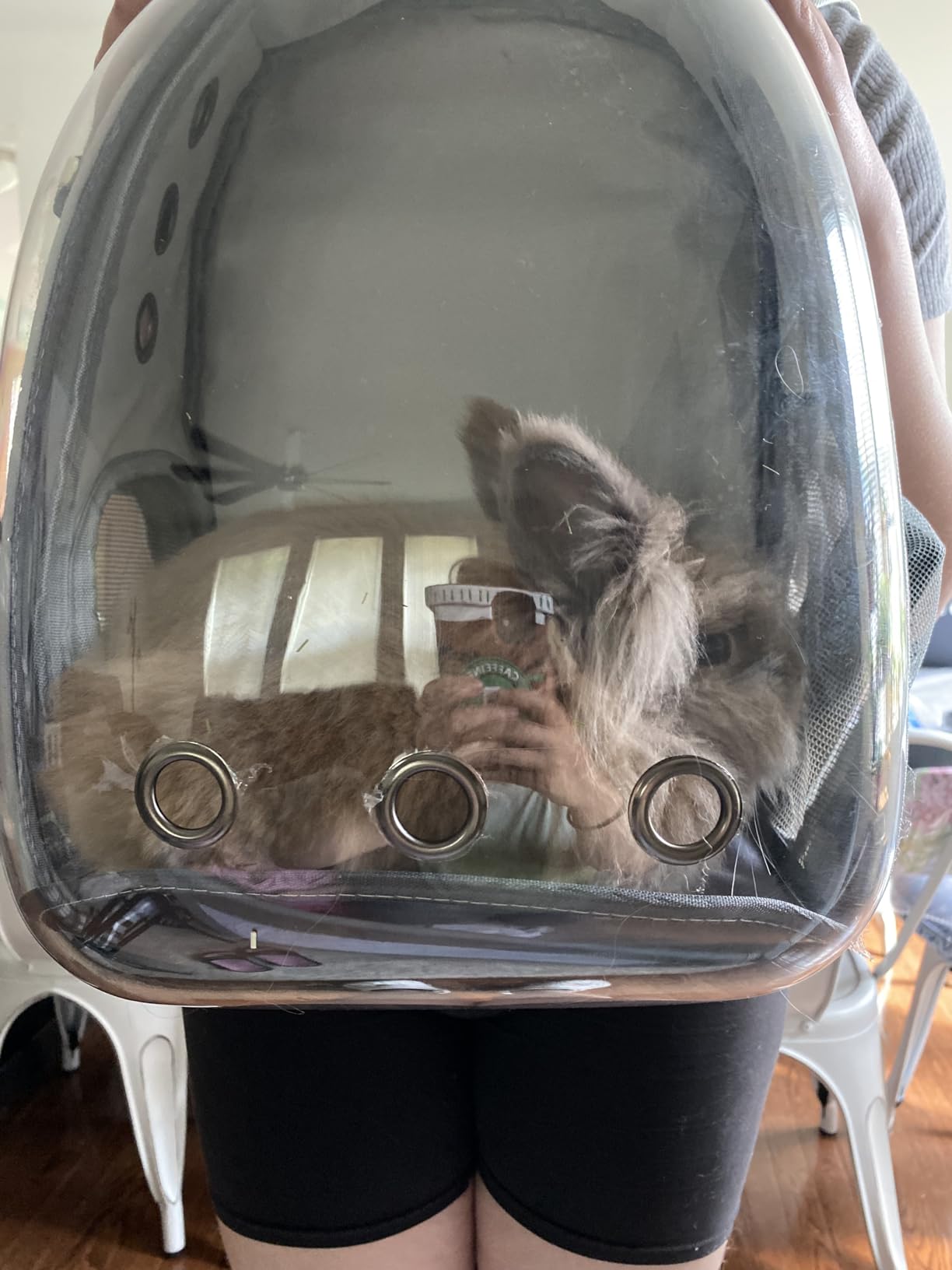 Cat Backpack Carrier Breathable Pet Travel Bag for Cats Dogs Bunny - Breathable Airline-Approved, Full Transparent Dome, Padded Backpack Straps for Walking, Driving, Vet Visits, Outdoor Trips customer photo 1