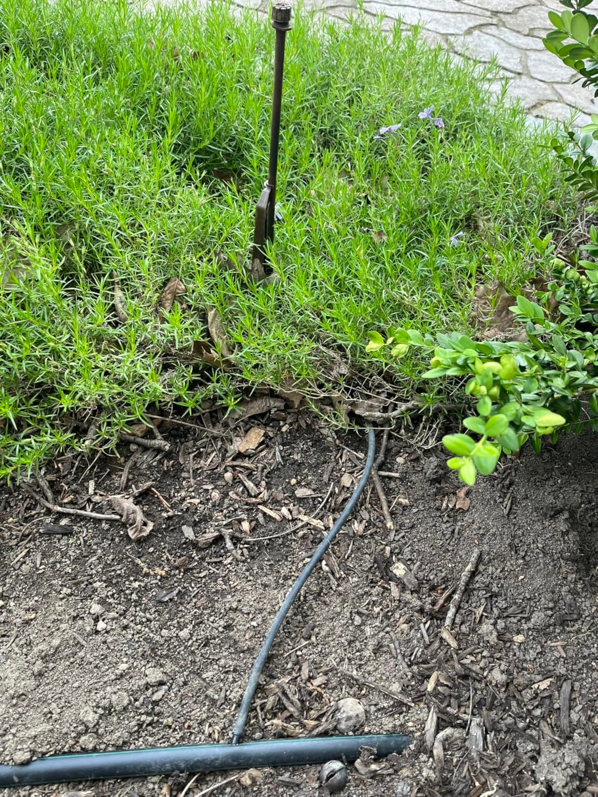 Rain Bird LNDDRIPKIT Drip Irrigation Kit customer photo 1