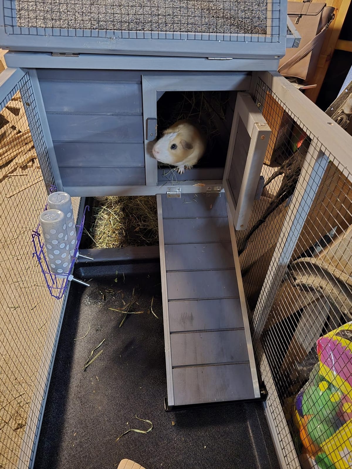 Aivituvin Rabbit Hutch Outdoor Indoor Rabbit Cage Chicken Coop with Casters Guinea Pig Cage with 3 Deep No Leakage Pull Out Tray, Waterproof Roof customer photo 2