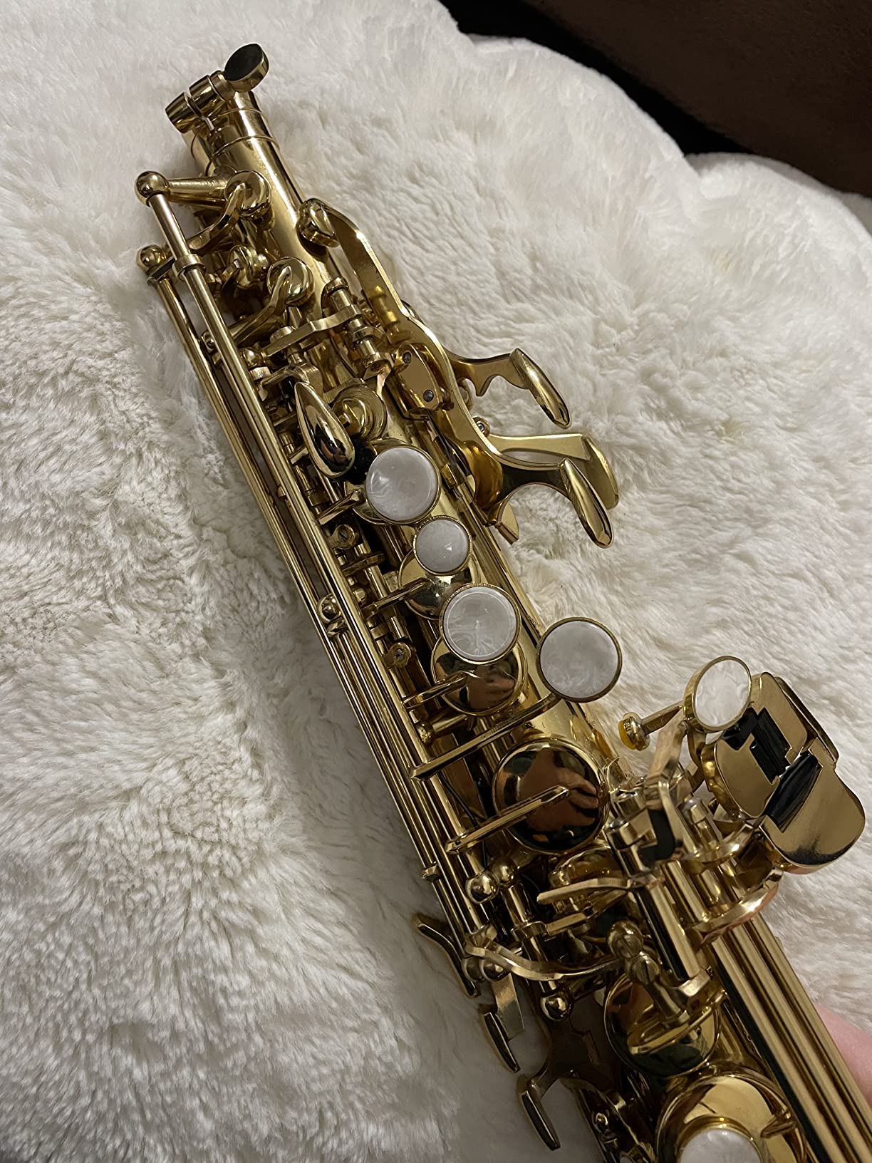 EASTROCK Bb Straight Soprano Saxophone Golden for Beginners Students | Soprano Sax Kit-Carrying Case, Mouthpiece, Reeds, Cushion Pads, Cleaning Kit, Gloves, Neck Strap customer photo 2