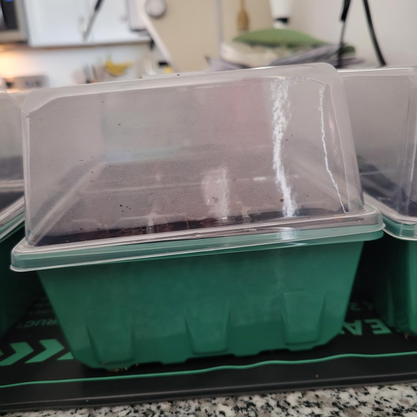 Gardzen 5-Set Seed Starter Tray Kits, Durable Plant Germination Trays with Humidity Vented Domes and Bases, Ideal for Seed Starting, Indoor Gardening, and Greenhouse (Total 200 Cells) customer photo 2