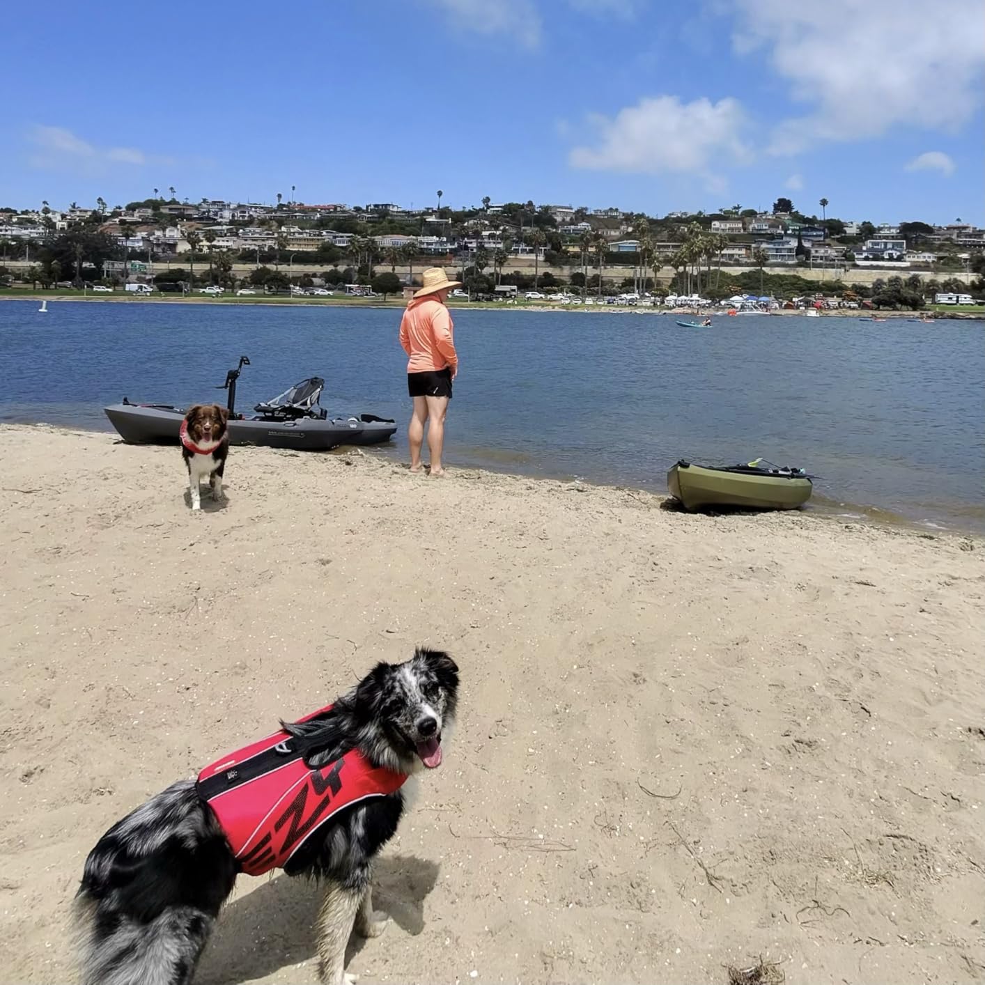 EzyDog DFD X2 Dog Life Jacket, Grab Handle, Reflective Trim - XL, Red | Adjustable Dog Life Vest For Swimming, Durable Nylon Outer, Secure Fit, Lightweight, Ultra Buoyant Foam, Reinforced Stitching customer photo 2