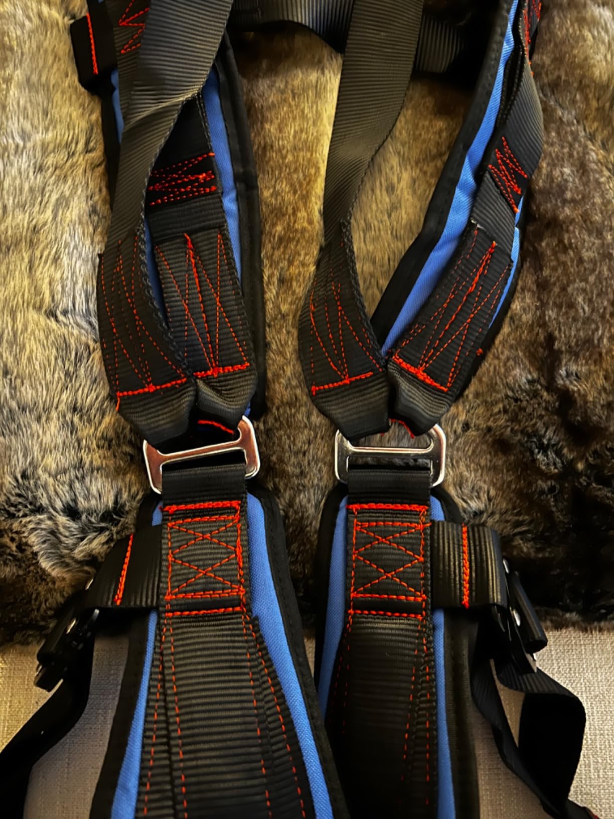 All-Weather Sport Kiting Harness for Ground Handling and Kitesurfing - Power Kite Pilot Wings with Locking Wing Attachments customer photo 1