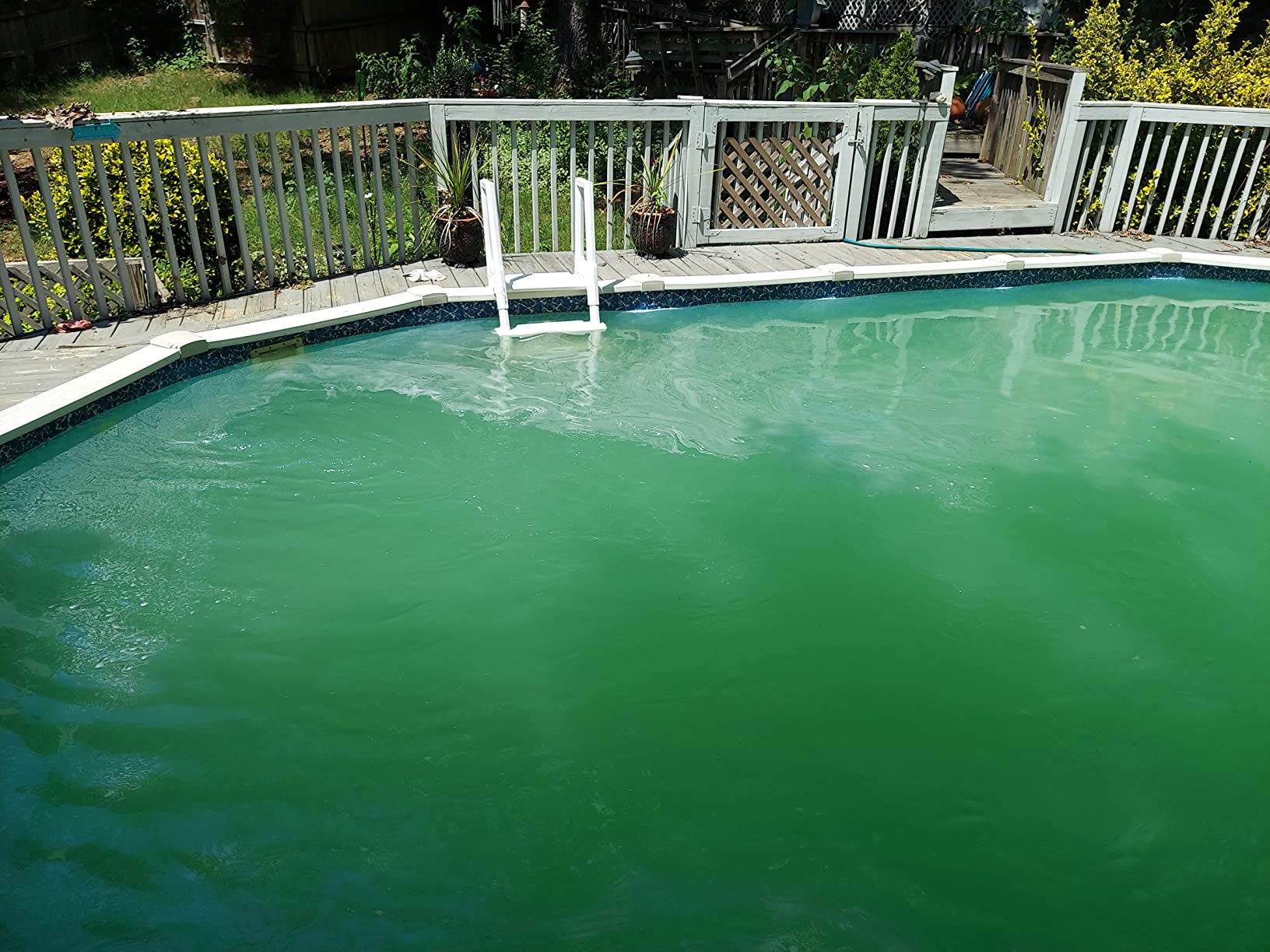 Hayward W3S180T ProSeries Pool Sand Filter, 18 in., Top-Mount Sand Filter for Above Ground Pools customer photo 1