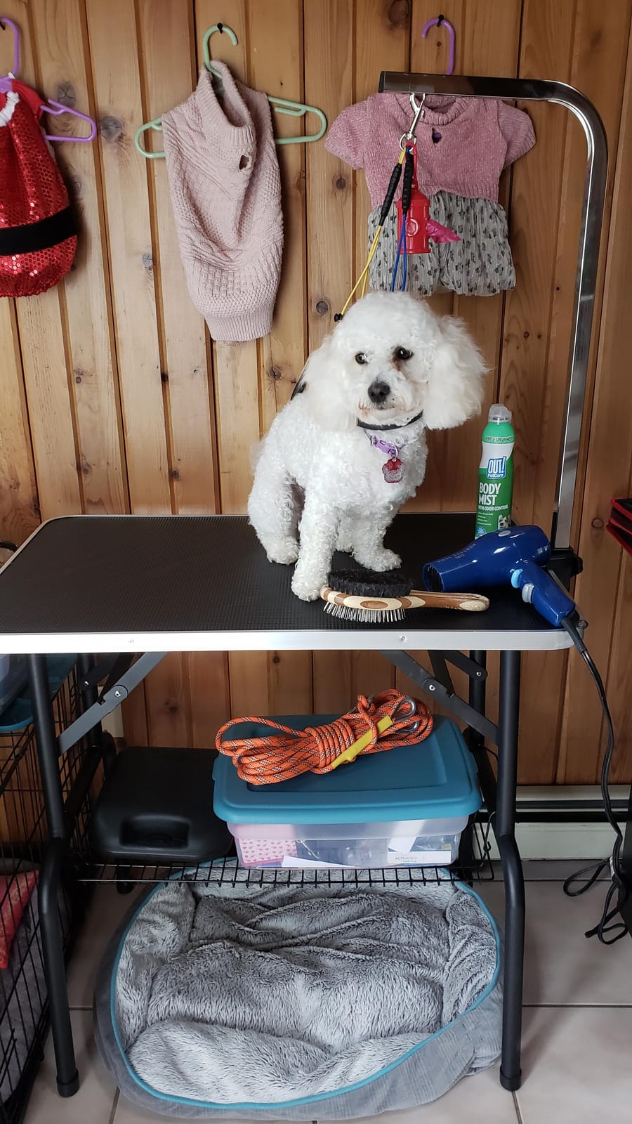 42.5 Inch Hydraulic Pet Dog Grooming Table Drying Table Heavy Duty Stainless Steel Frame with Adjustable Arm and Noose 330 lbs Capacity Height Range 21-36 Inch customer photo 2