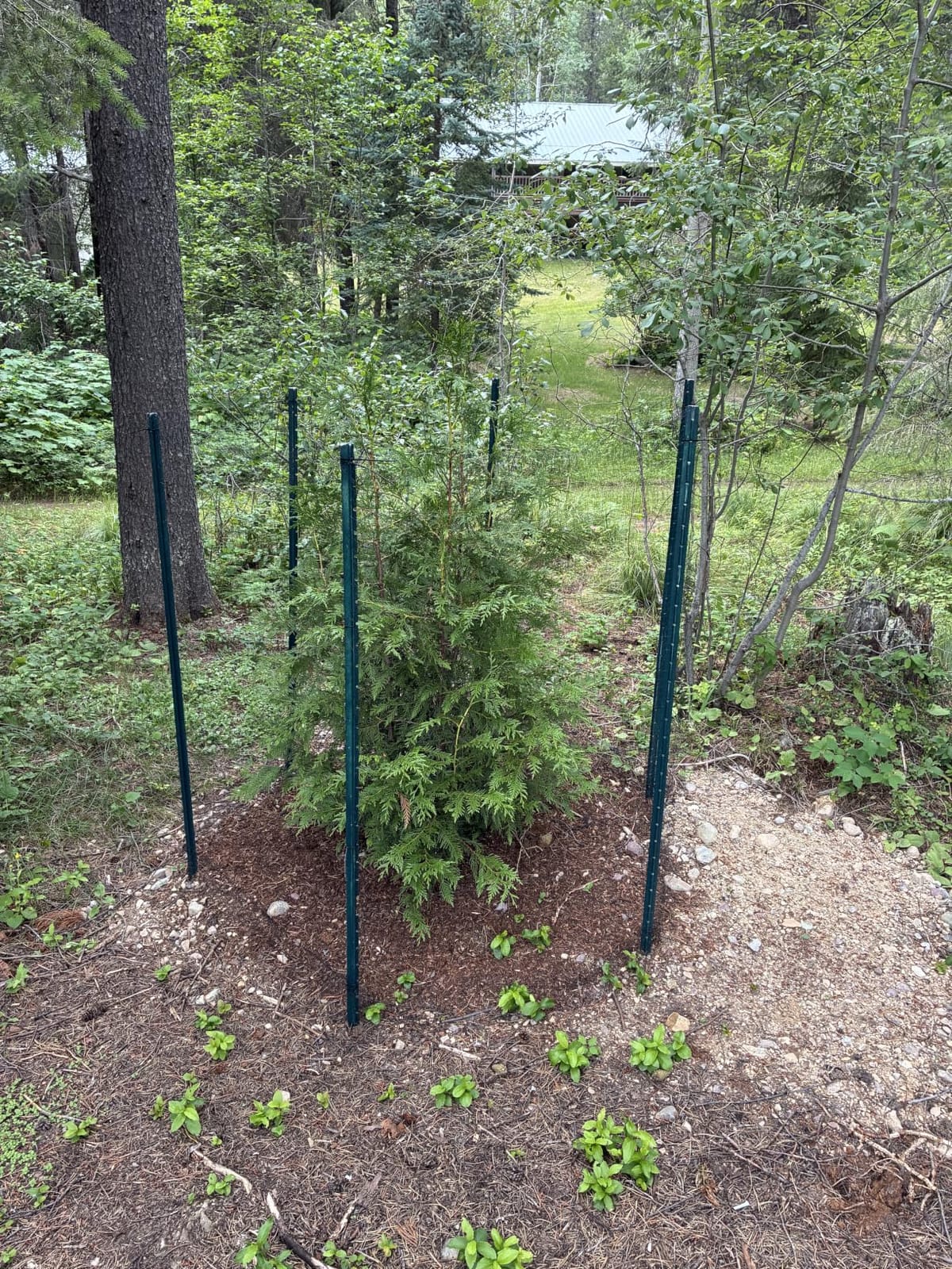 Feitore Deer Fence Netting, 7x100ft Garden Net Bird Netting, Reinforced Edge | Anti-UV Garden Fencing Kit for Plants Fruit Tree Vegetable Protection from Animals, 3/4