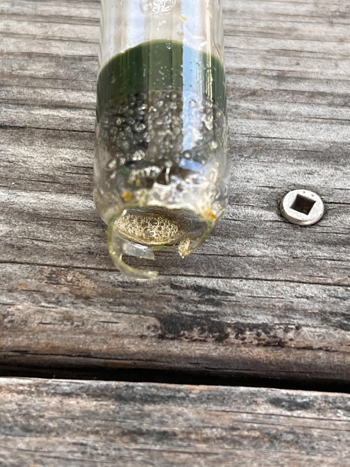 Circrane Hydrometer & Glass Test Jar Set, Triple Scale Alcohol Hydrometer with Glass Cylinder for Brew Beer, Wine, Mead and Kombucha customer photo 2