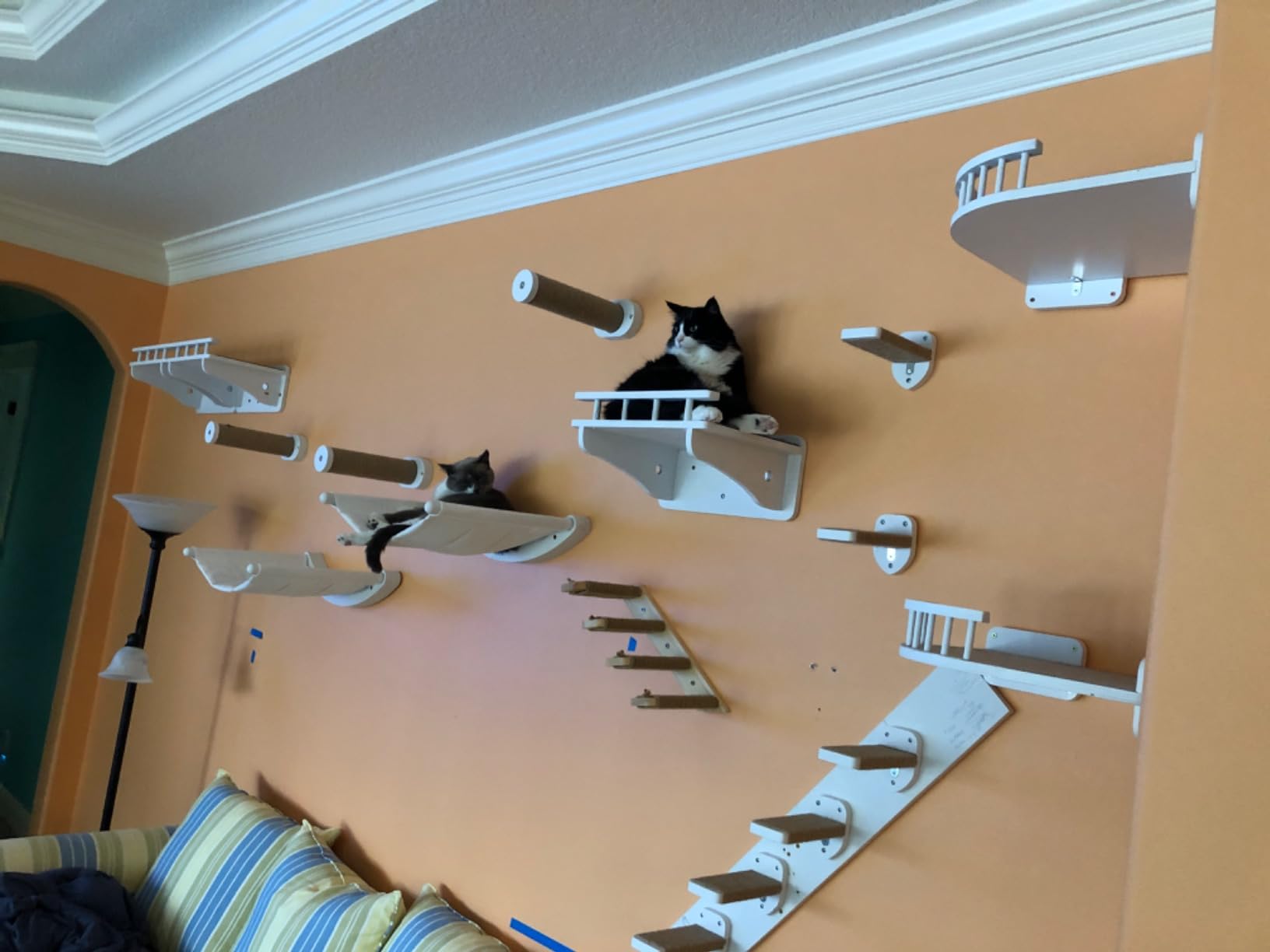 7 Ruby Road Alto Cat Wall Hammock Set - Wall Mounted Cat Shelves & Furniture with Climbing Steps for Large Cats, Holds 35 lbs, Indoor Climbing & Lounging, Replaceable Cushion customer photo 1