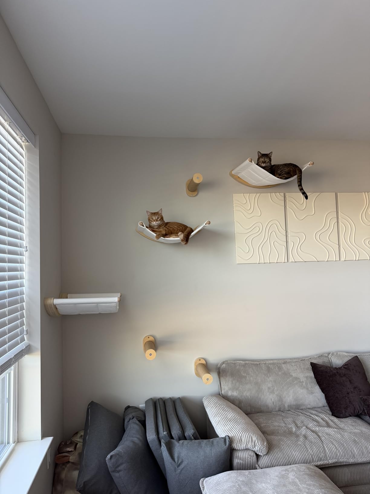 7 Ruby Road Alto Cat Wall Hammock Set - Wall Mounted Cat Shelves & Furniture with Climbing Steps for Large Cats, Holds 35 lbs, Indoor Climbing & Lounging, Replaceable Cushion customer photo 2
