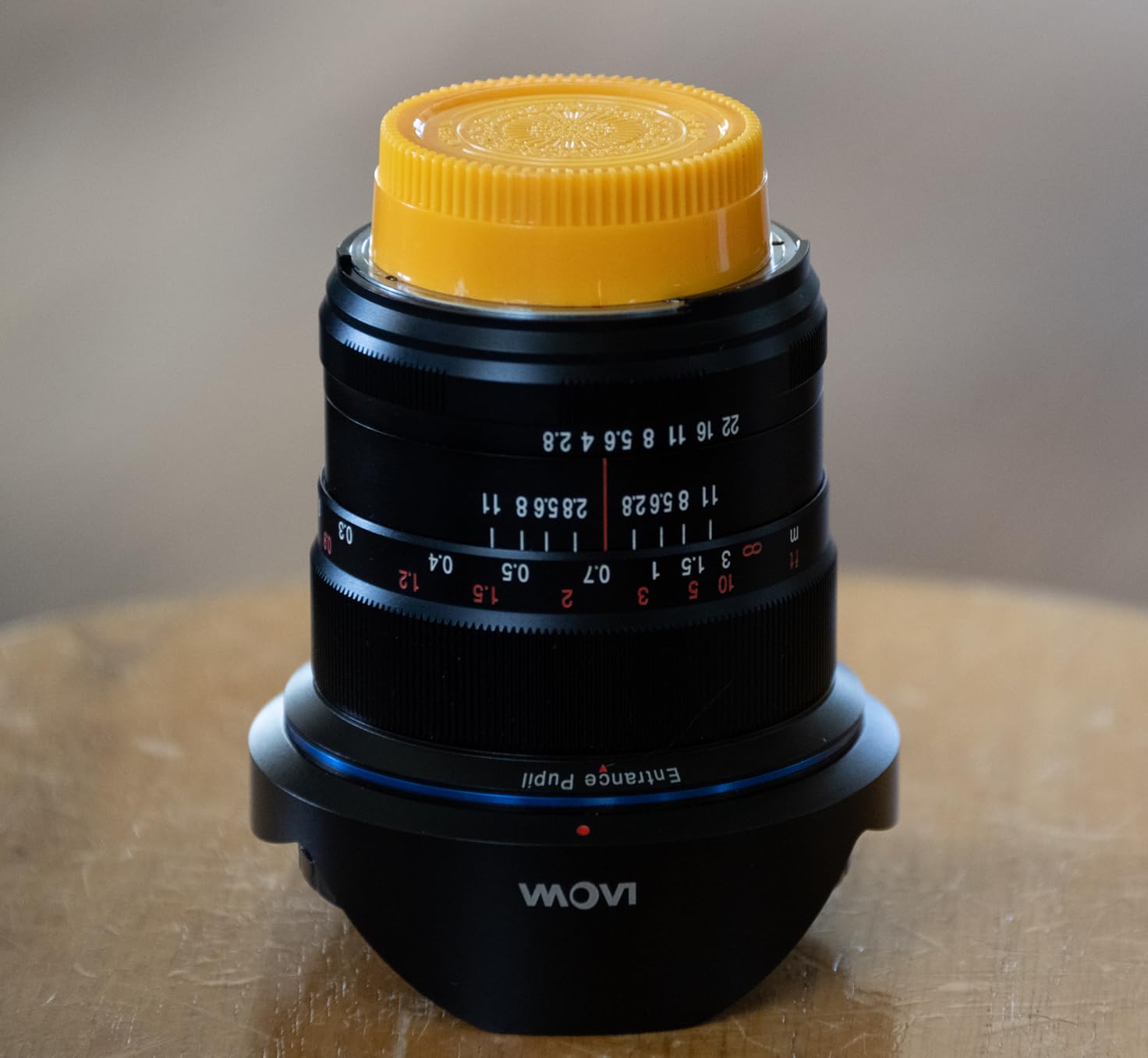 Fotodiox Designer Yellow Rear Lens Cap for Nikon Z Lenses - Compatible with Nikon Z-Mount Lenses and Adapter Mounts (Replaces Nikon LF-N1 Rear Lens Cap) - Plastic customer photo 1