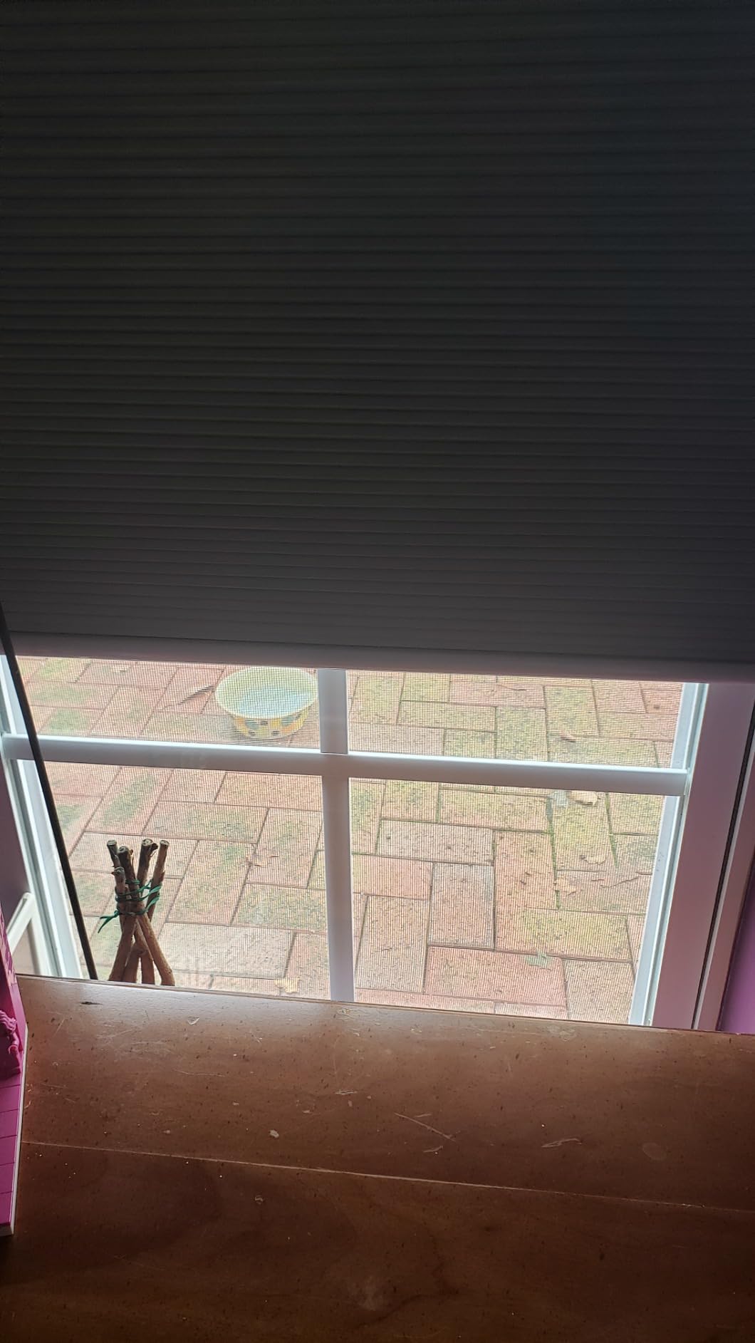 Grandekor Cordless Blackout Cellular Shades for Windows, Honeycomb Blinds | Honeycomb Shades Create a Darker Room for Better Sleep and Privacy| Cordless Design Fits Bedroom, Living Spaces|White 35Wx64H customer photo 2