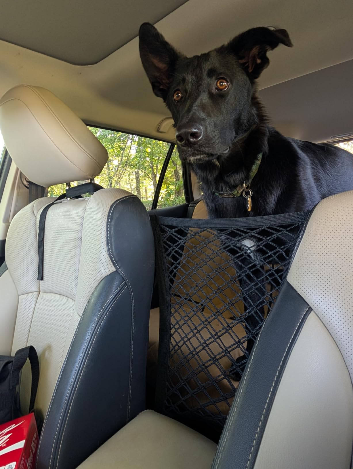 DYKESON Dog Car Net Barrier Pet Barrier with Car Mesh Organizer for Dog & Child, Safety Divider with Upgraded Storage Pouch, Easy Install for Cars & SUVs customer photo 1