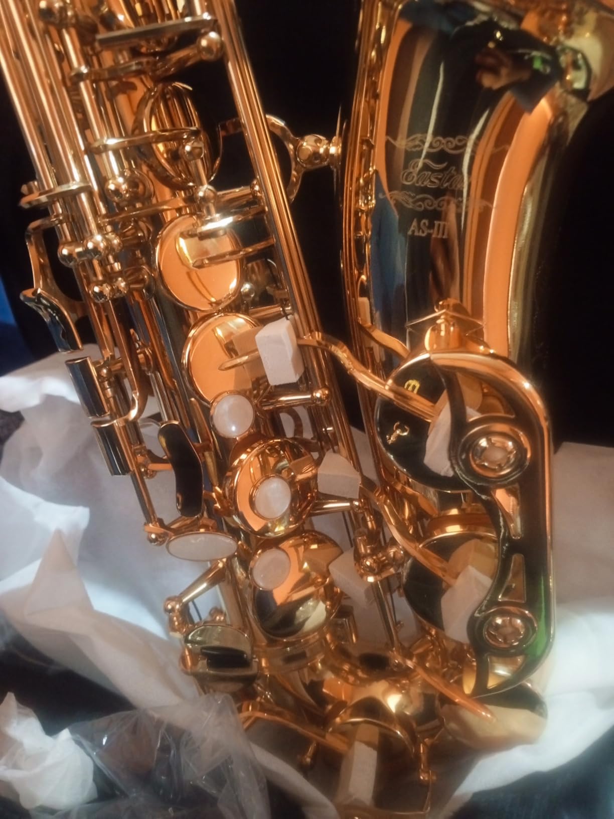 Eastar Tenor Saxophone, B Flat Golden Lacquer Beginner Kit with Cleaning Cloth, Case, Mouthpiece, Neck Strap, Reeds, TS-Ⅱ customer photo 2