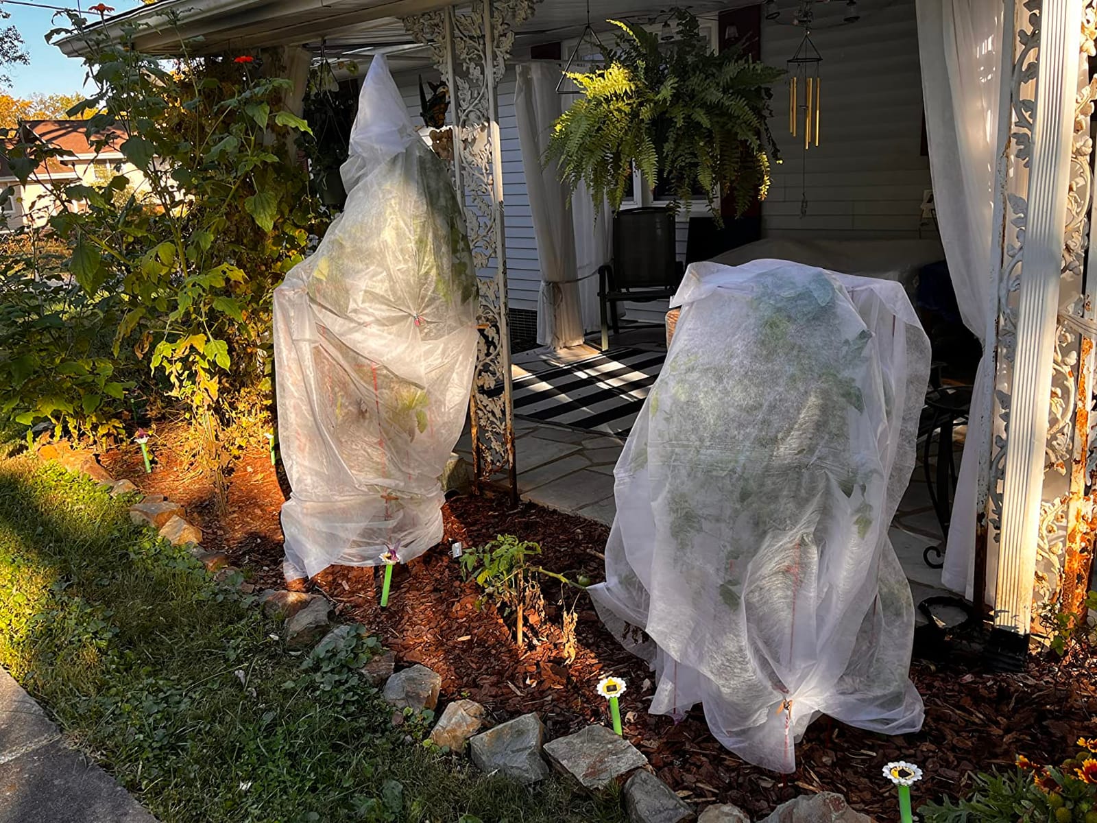 Plant Covers Freeze Protection 10 ft x 30 ft Floating Row Cover 0.9oz/yd² Garden Fabric Plant Cover for Winter Frost/Sun Pest Protection customer photo 1