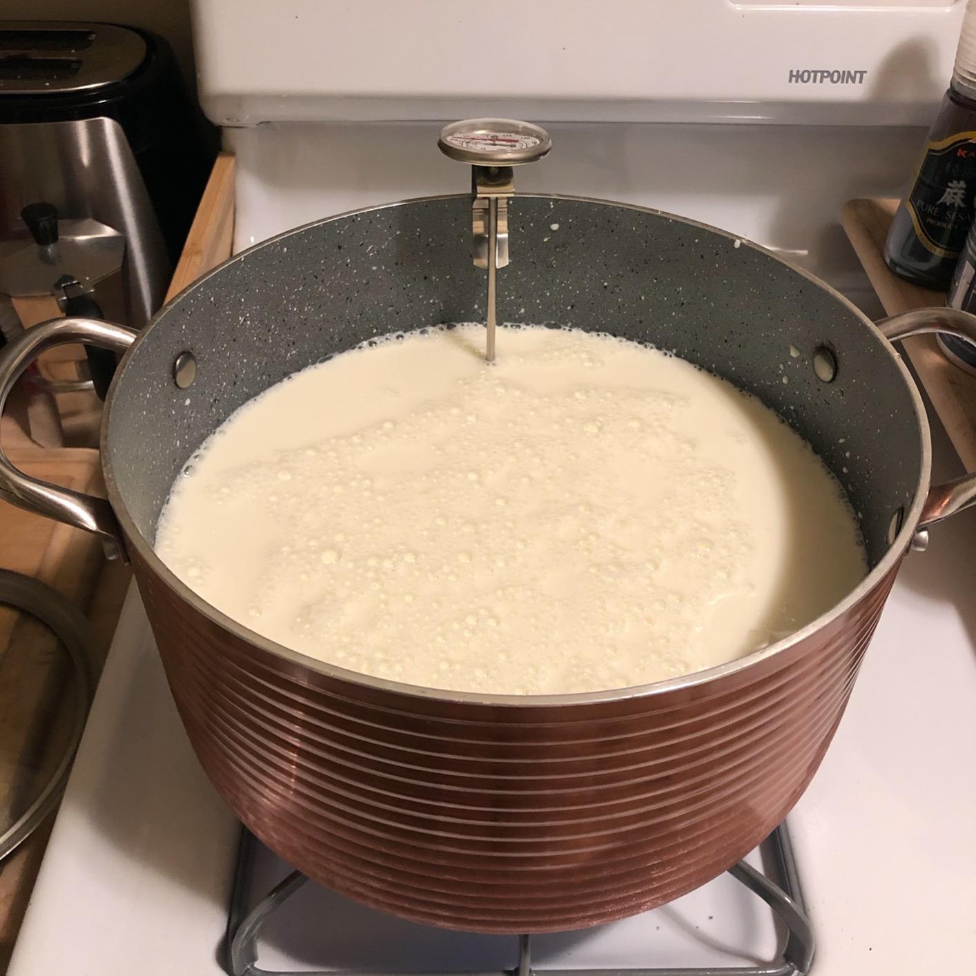 The Big Cheese Ultimate Cheese Making Kit - Makes 10 Cheeses (Mozzarella, Mascarpone, Feta, Ricotta + 6 More) - 40 Batches with Rennet & Recipe Book customer photo 1