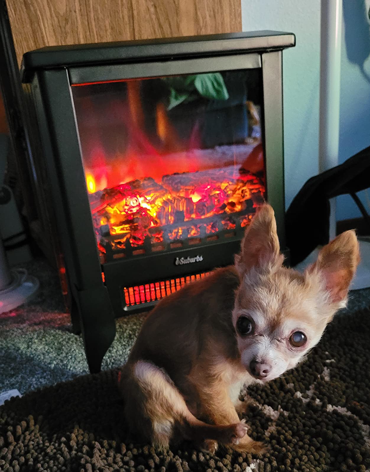 TURBRO Suburbs TS17 Compact Electric Fireplace Stove, Freestanding Stove Heater with Realistic Flame - CSA Certified - Overheating Safety Protection - for Small Spaces - 17