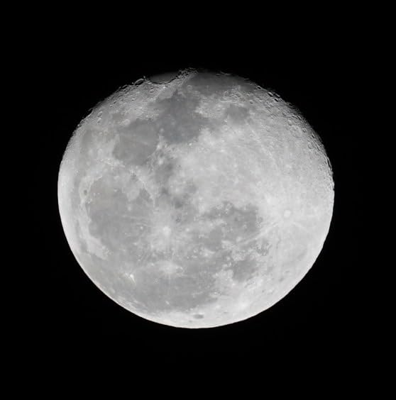Sony E 70-350mm f/4.5-6.3 G OSS Super Telephoto Zoom Lens (APS-C) customer photo 1