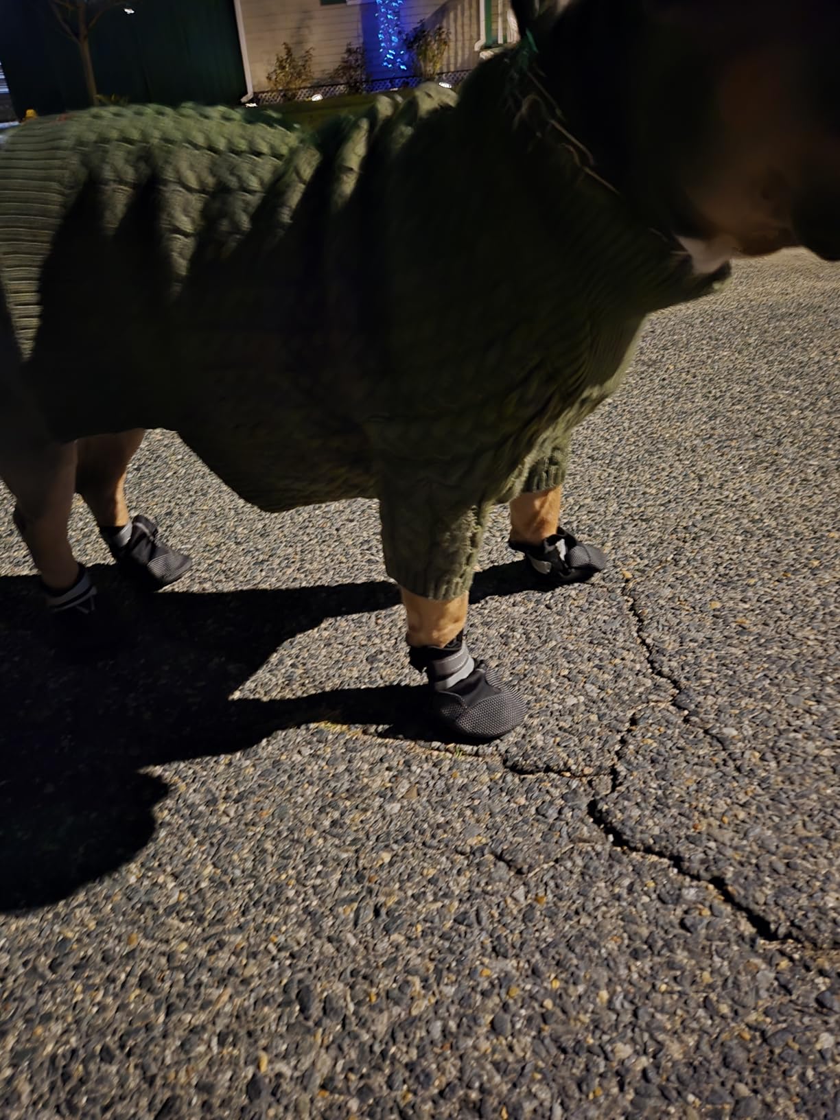 Dimicoo Water-Resistant Dog Boots for Medium Large Dogs, Non-Slip Dog Shoes for Winter Snow, Lightweight Paw Protector for Cold Pavement, Soft Dog Booties for Outdoor Walking Indoor Hardfloors customer photo 1