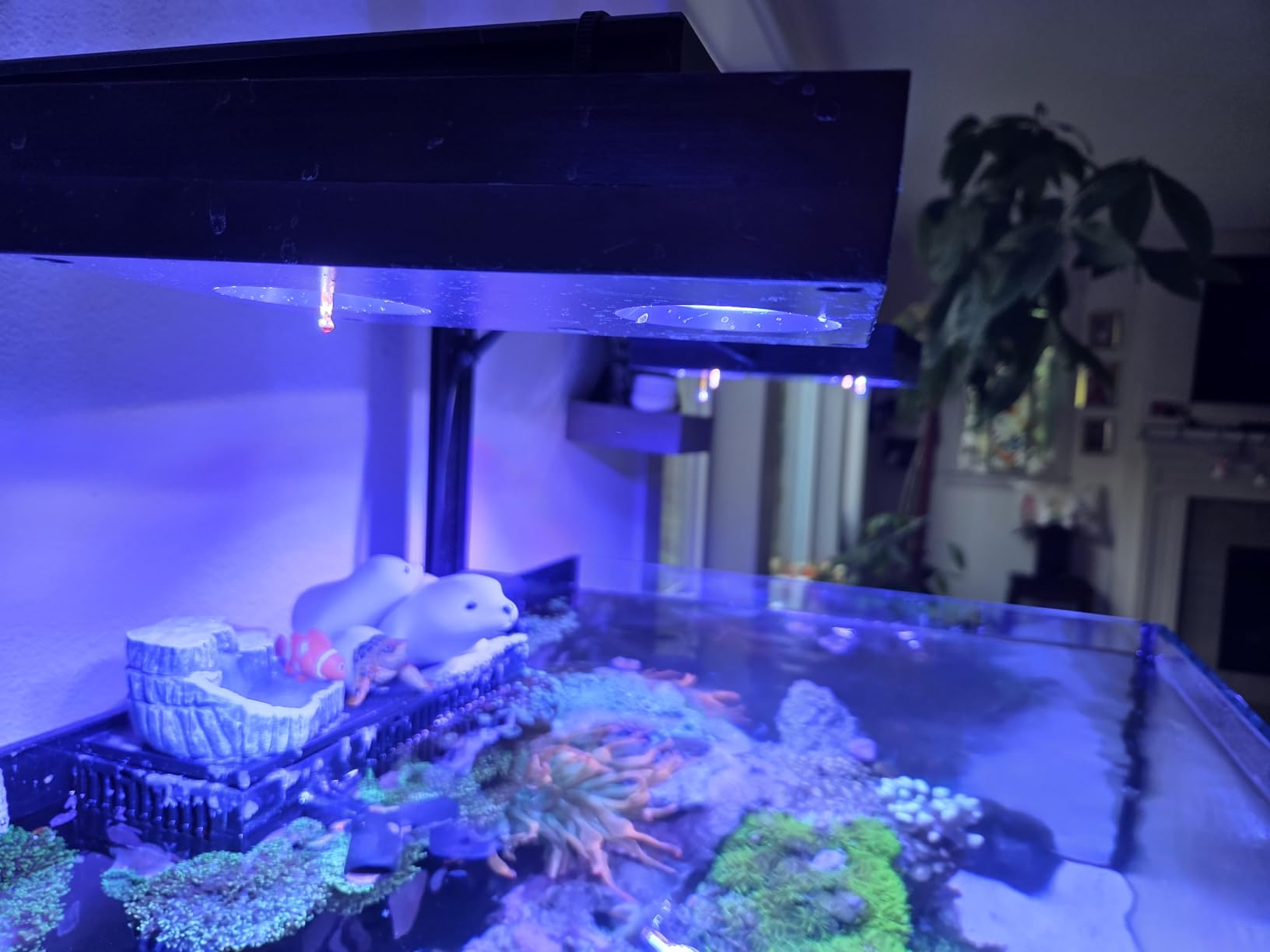 AquaIllumination Hydra 32 LED Aquarium Light - Full Spectrum Lighting for Coral Growth, Wireless Control, High PAR Output, Energy Efficient - for Saltwater Reef Tank Aquariums - Black customer photo 2