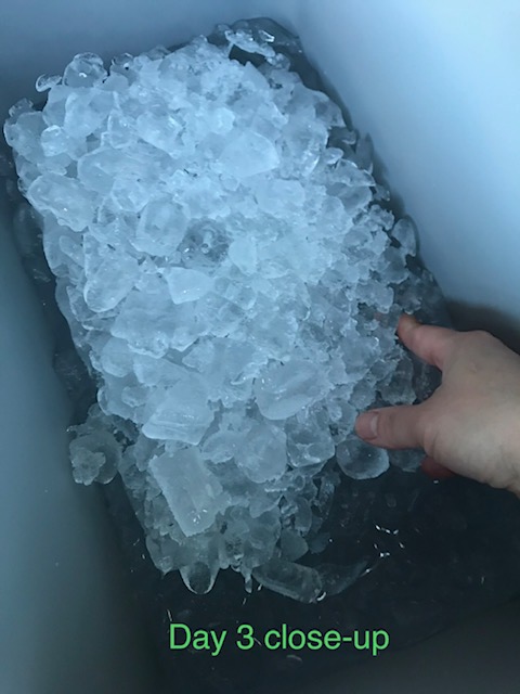 Igloo BMX Cooler, Insulated Hard Shell Ice Chest customer photo 1