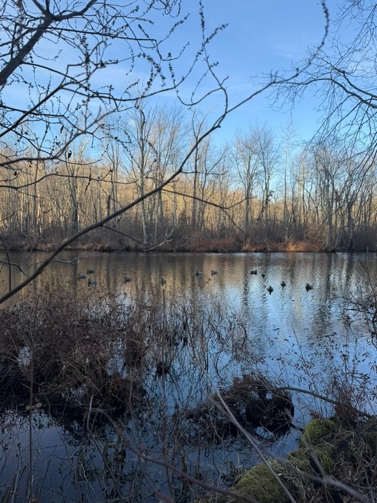 Flambeau Outdoors Duck Decoy - Masters Series Mallard or Blue Bill Decoys (6-Pack or 12-Pack) Classic Floaters customer photo 2