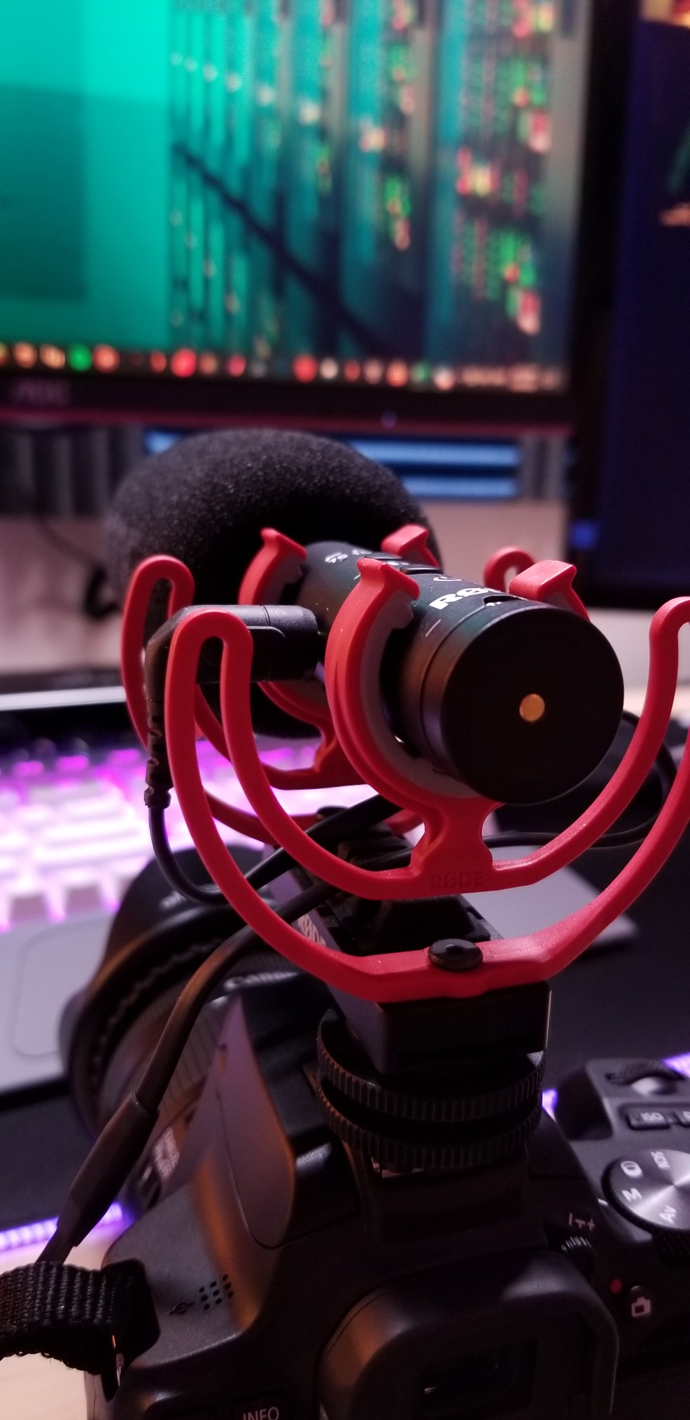 Rode VideoMic NTG Camera-mount Shotgun Microphone | Supercardioid shotgun microphone with variable gain and USB output for cameras, smartphones and computers customer photo 2