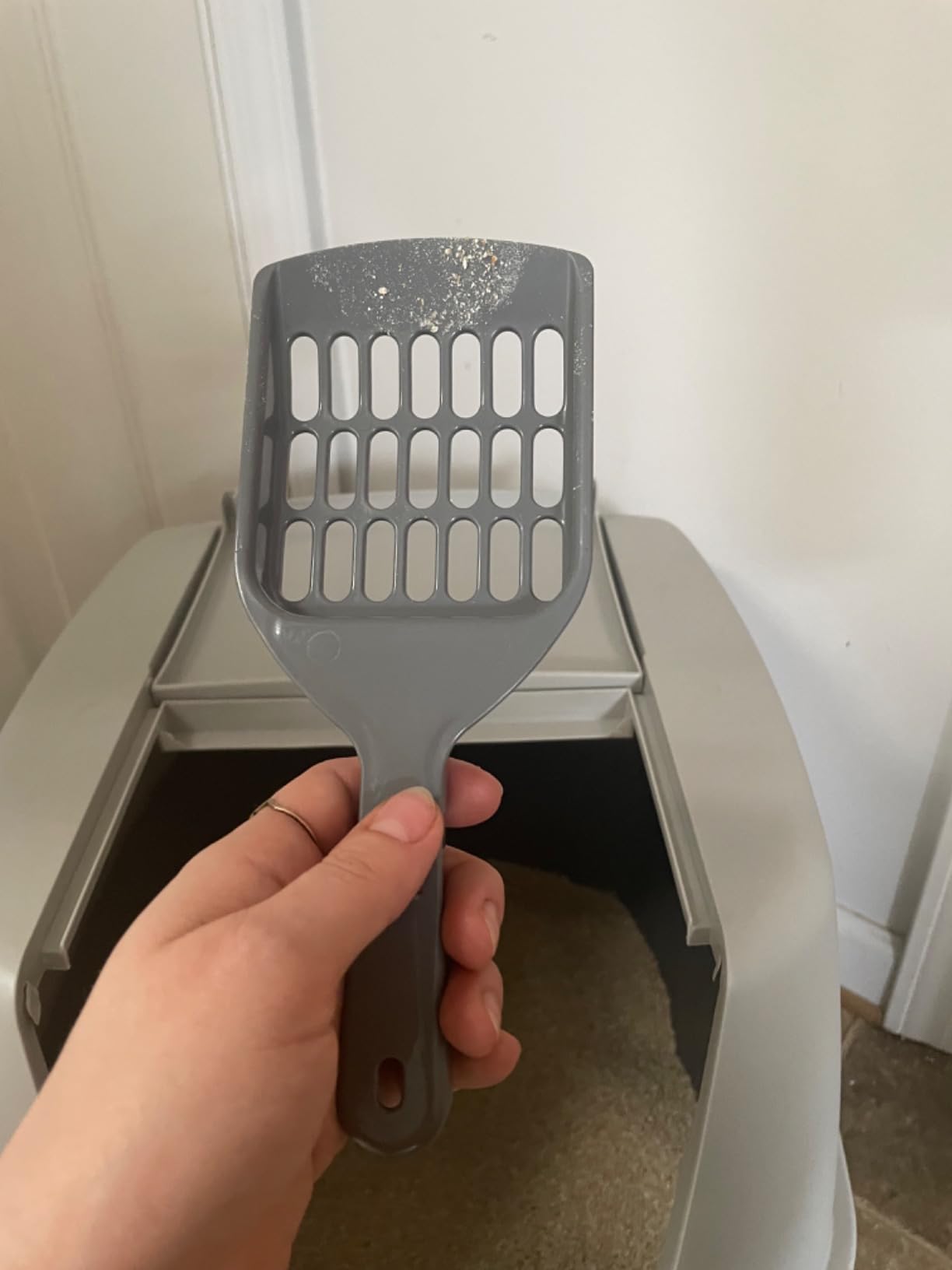 IRIS USA Large Front Door Cat Litter Box, Walk-in Entry, Gray | Easy Access Needs, Private Enclosure Design, Covered Walk-Through, Contained Environment, Privacy Hood customer photo 1