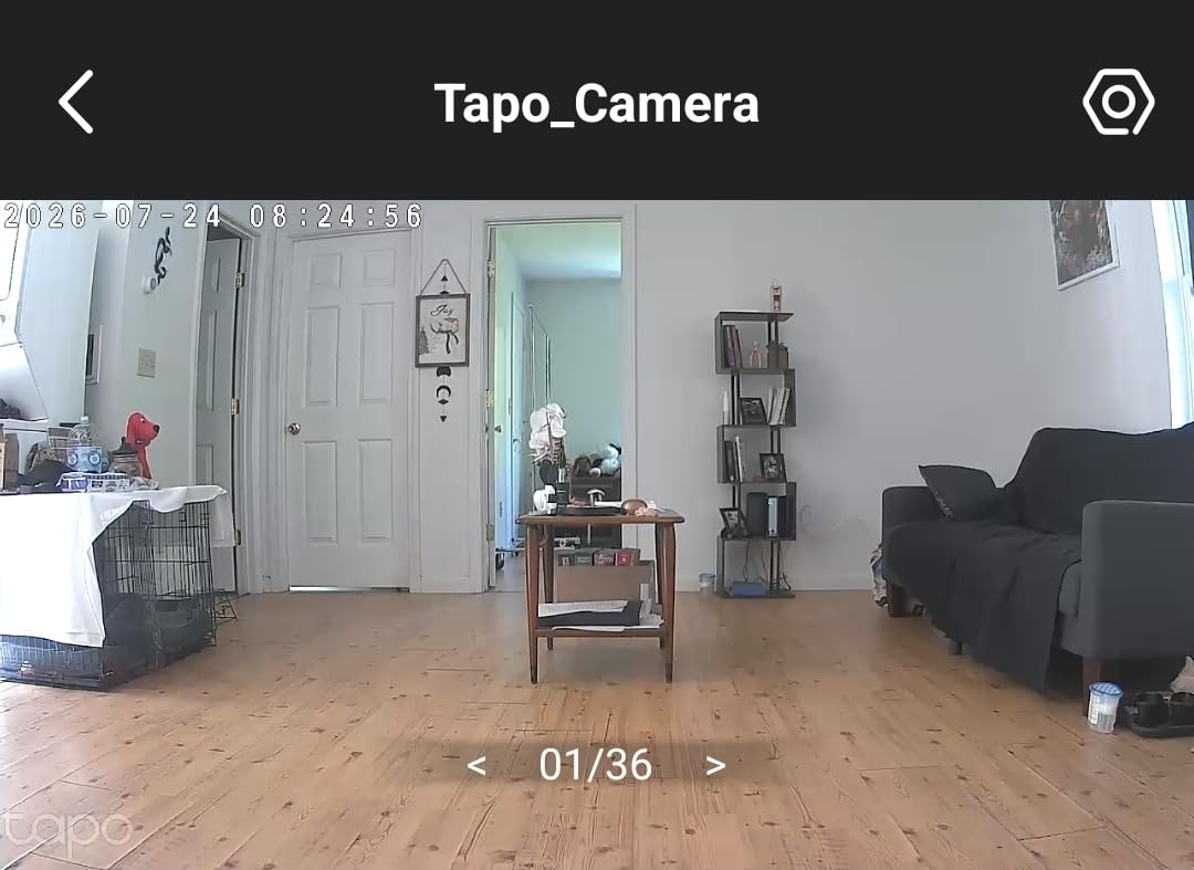 Tapo 1080p Pan/Tilt Security Camera for Baby Monitor, Pet Camera, C200 customer photo 2