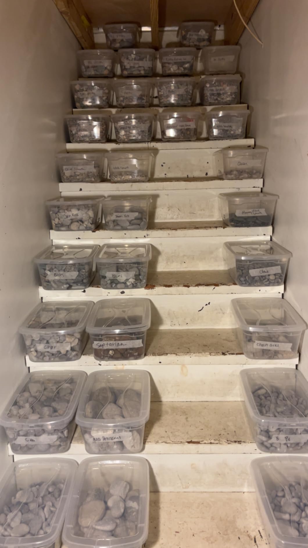 Rubbermaid Cleverstore 17 Qt Clear Storage Bins with Lids, 6-Pack, Stackable, BPA-Free, Made in USA customer photo 1